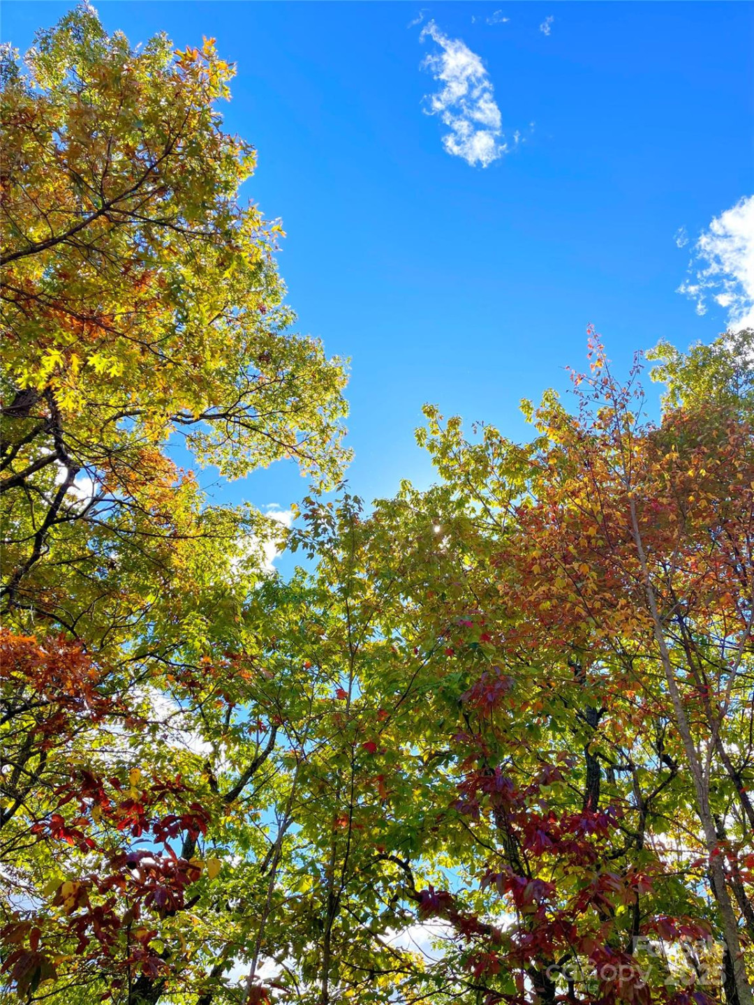 57 Grouse Ridge Drive - Photo 28