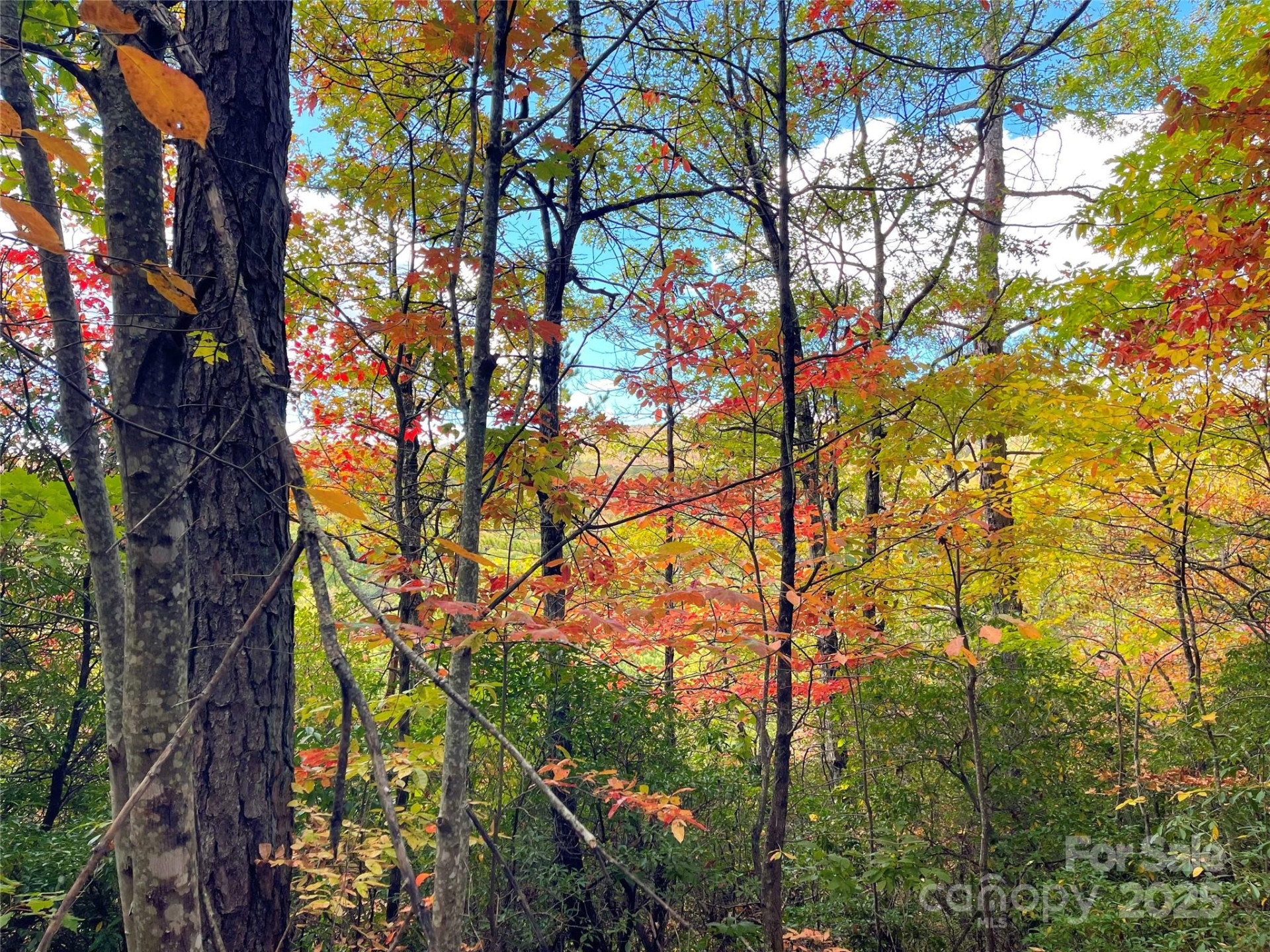 57 Grouse Ridge Drive - Photo 29