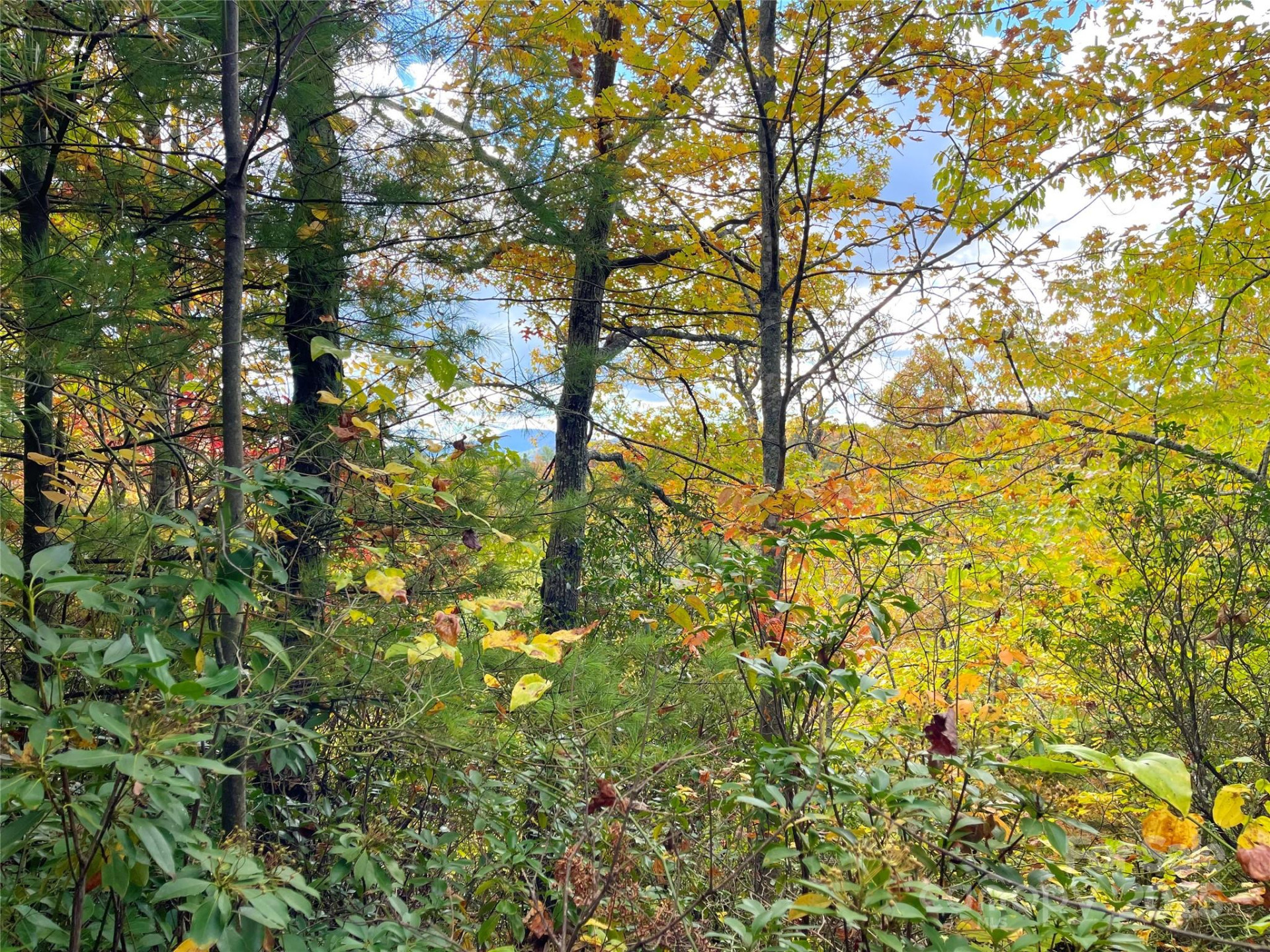 57 Grouse Ridge Drive - Photo 30