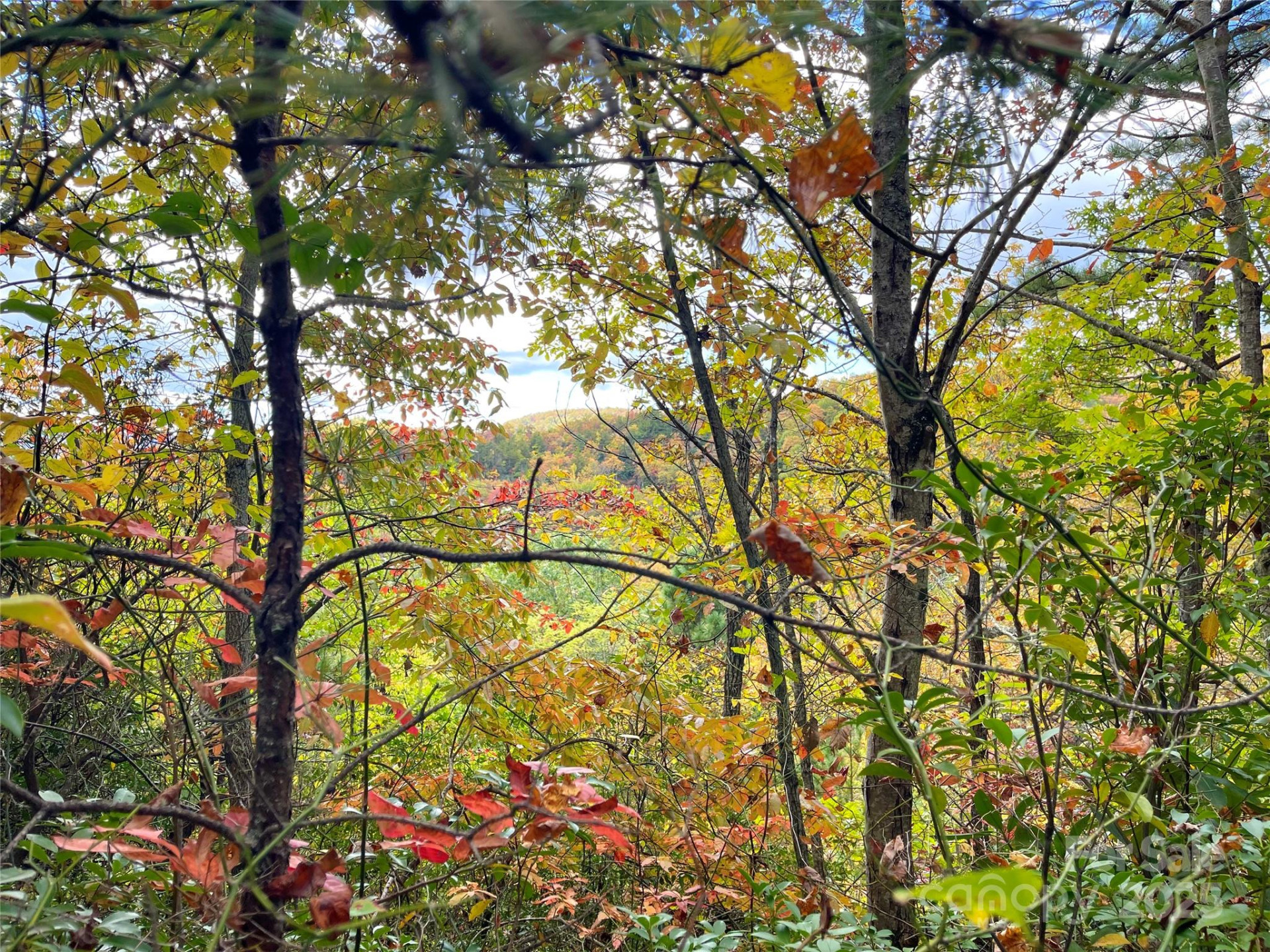 57 Grouse Ridge Drive - Photo 32