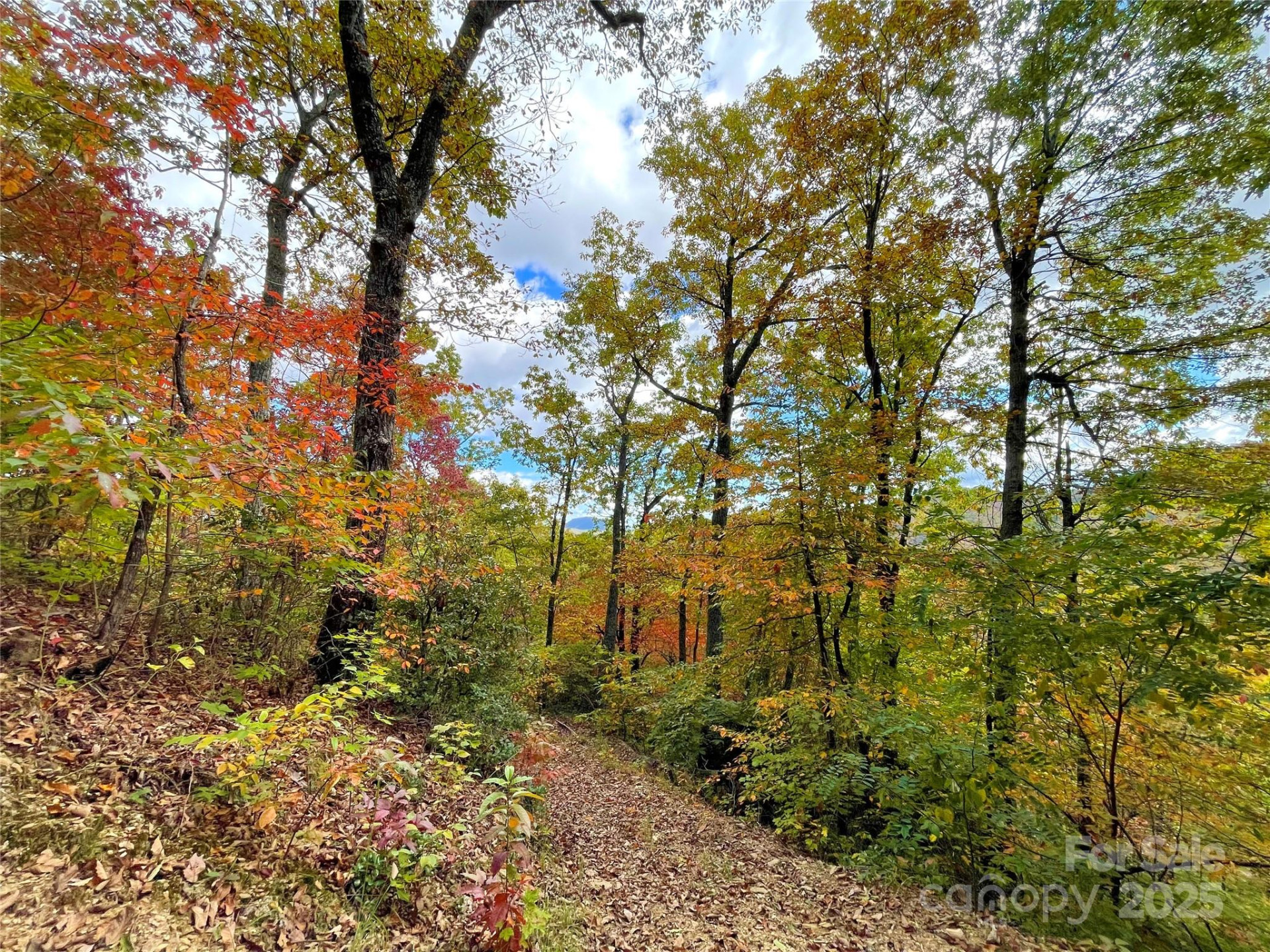 57 Grouse Ridge Drive - Photo 34