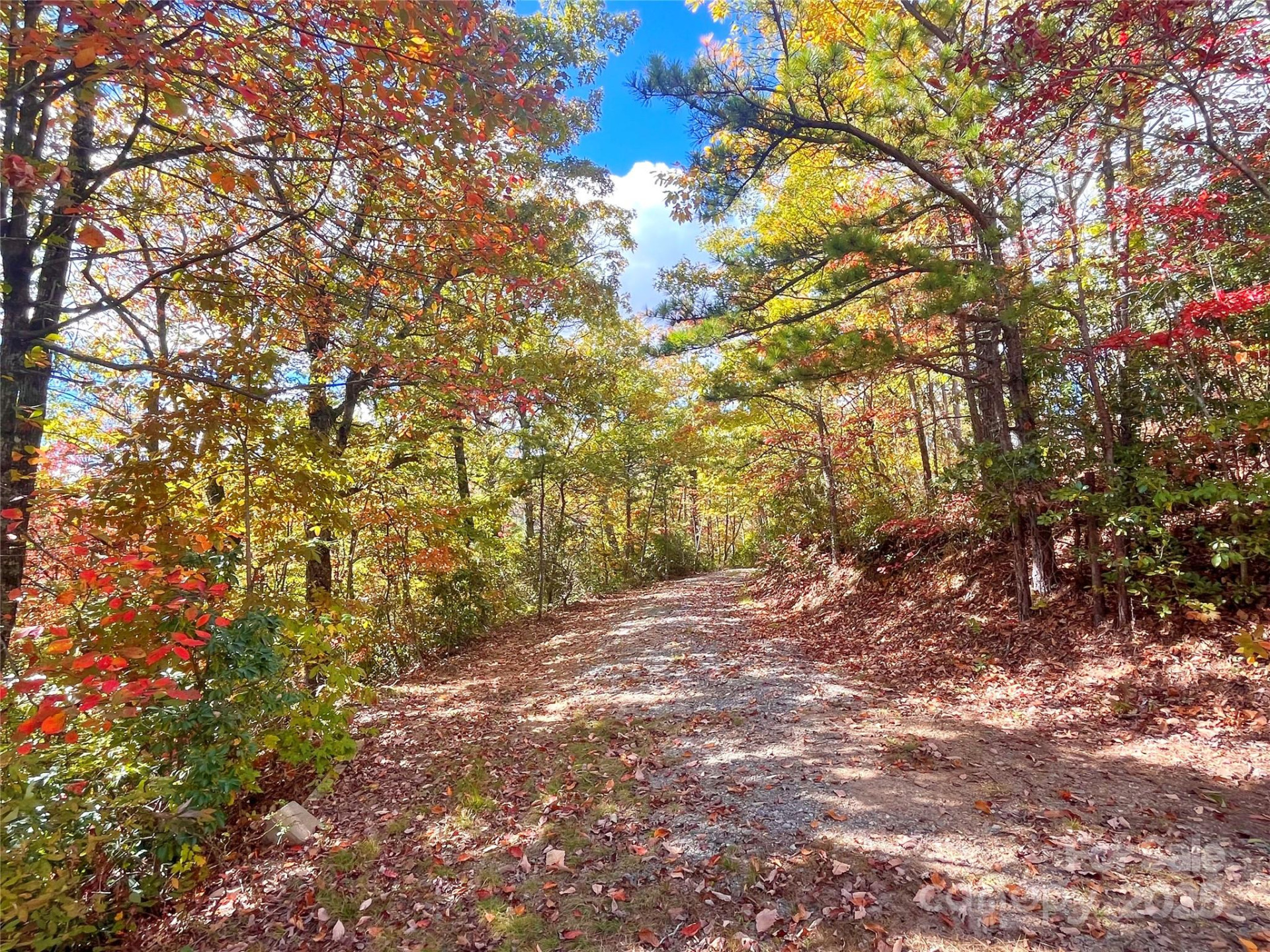 57 Grouse Ridge Drive - Photo 36