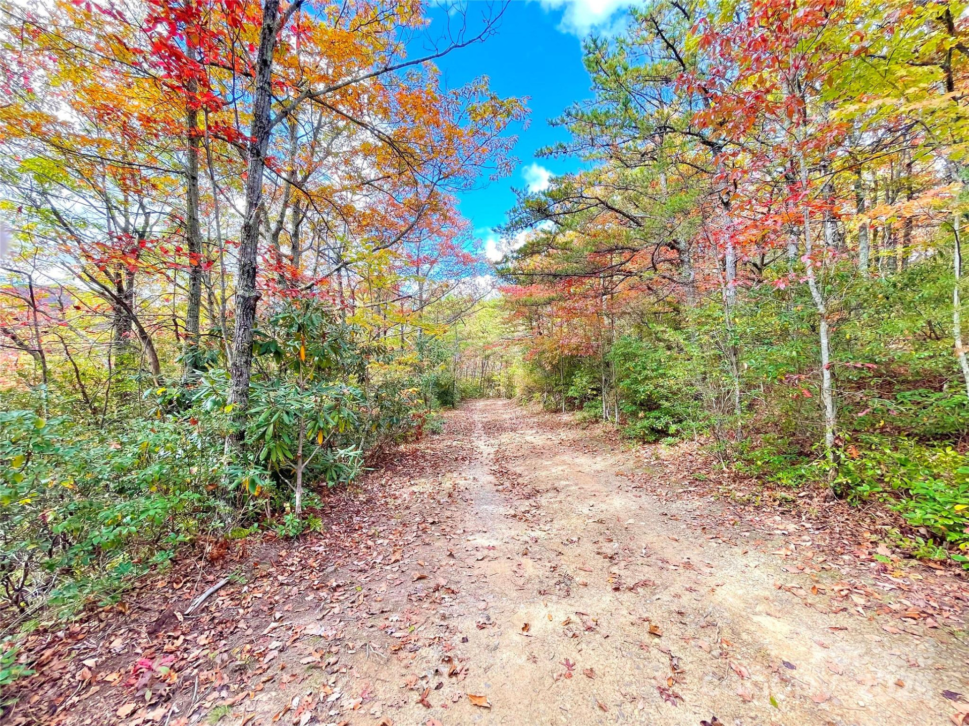 57 Grouse Ridge Drive - Photo 38