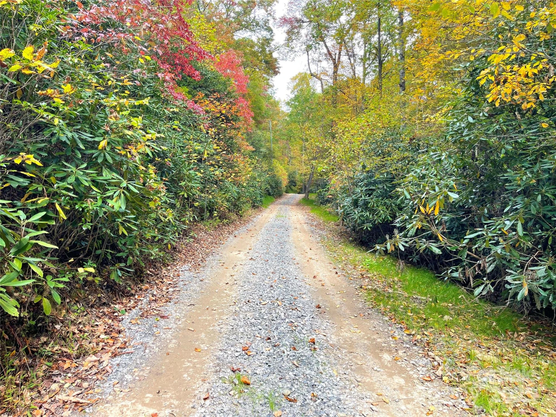 57 Grouse Ridge Drive - Photo 5