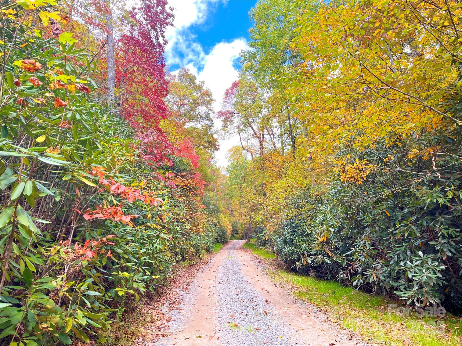 57 Grouse Ridge Drive - Photo 6