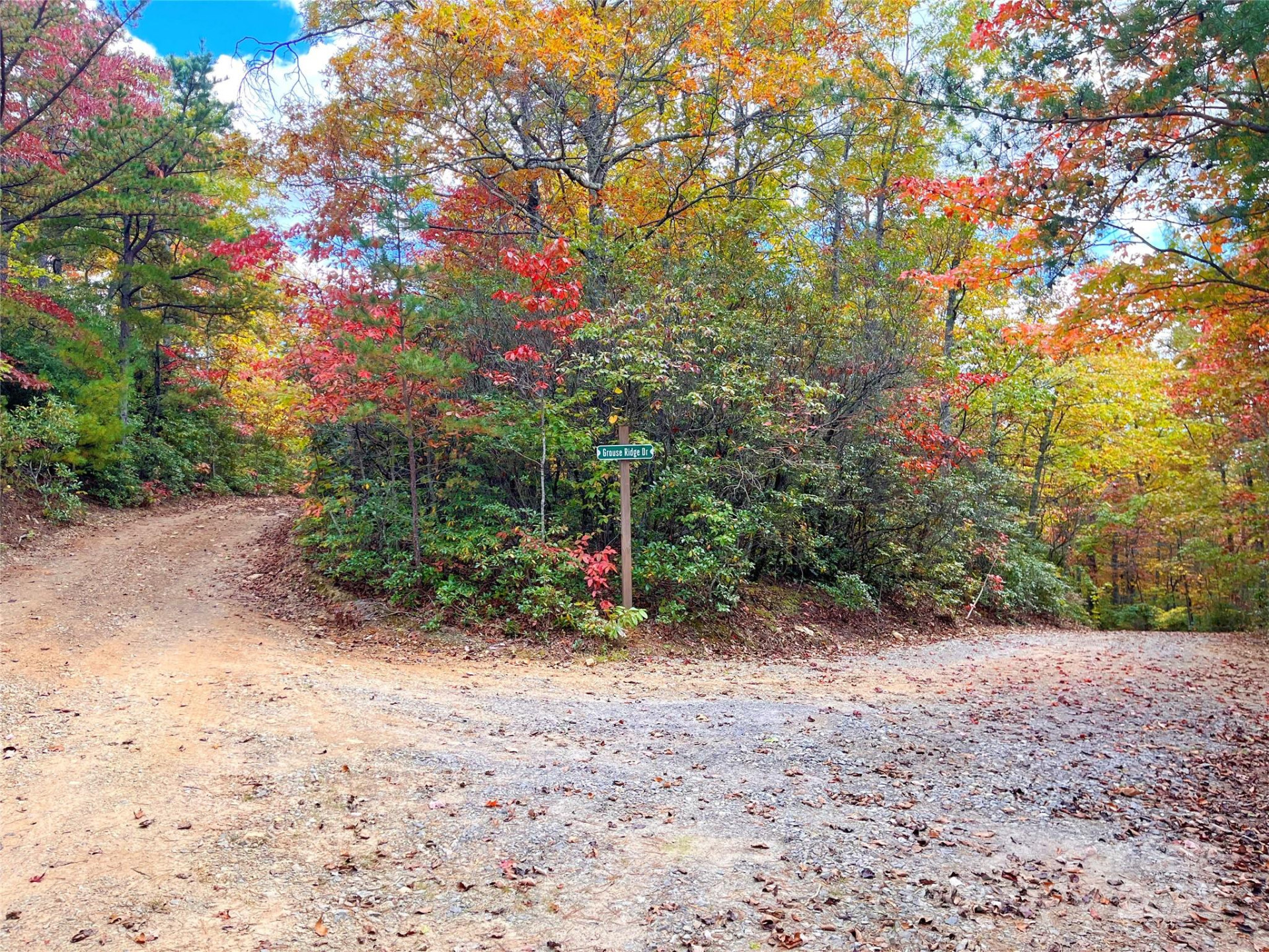 57 Grouse Ridge Drive - Photo 8