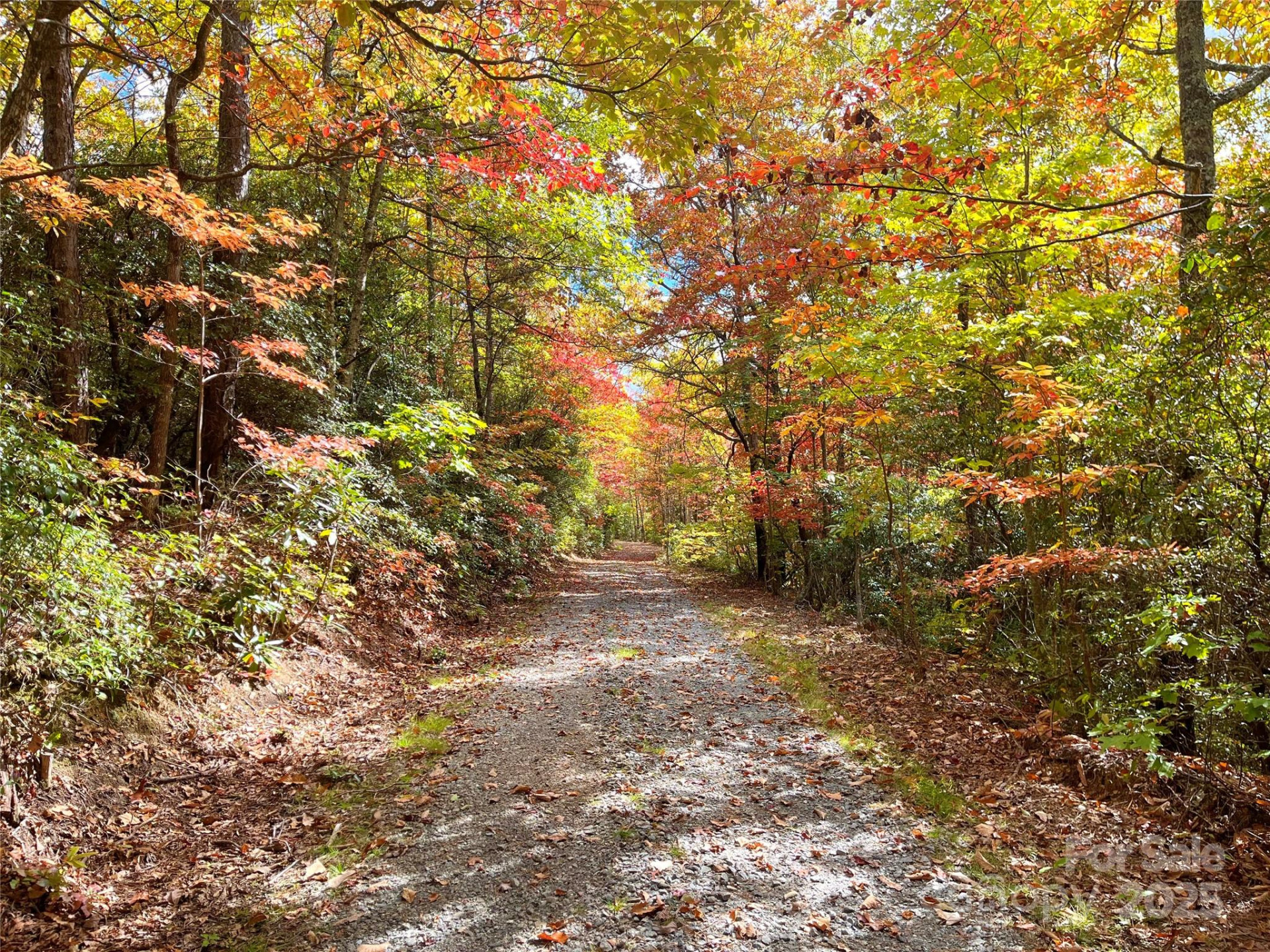 57 Grouse Ridge Drive - Photo 10