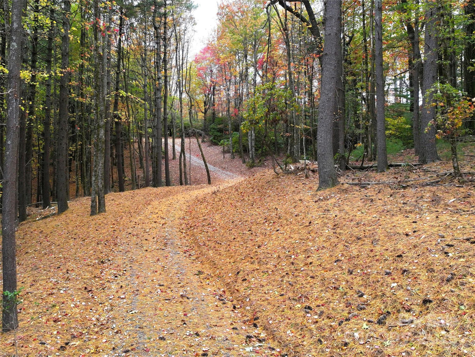 243 Ridgeline Drive - Photo 18