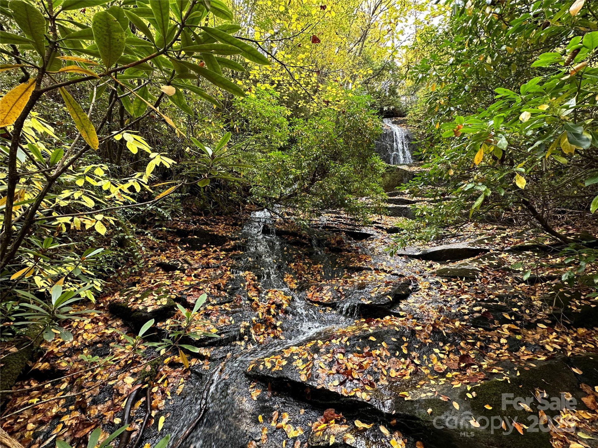 243 Ridgeline Drive - Photo 3