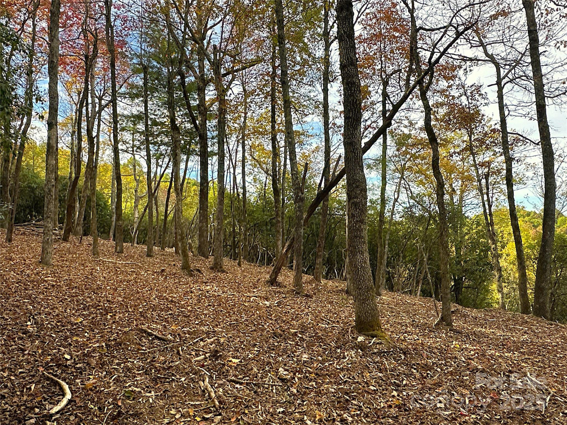 243 Ridgeline Drive - Photo 30