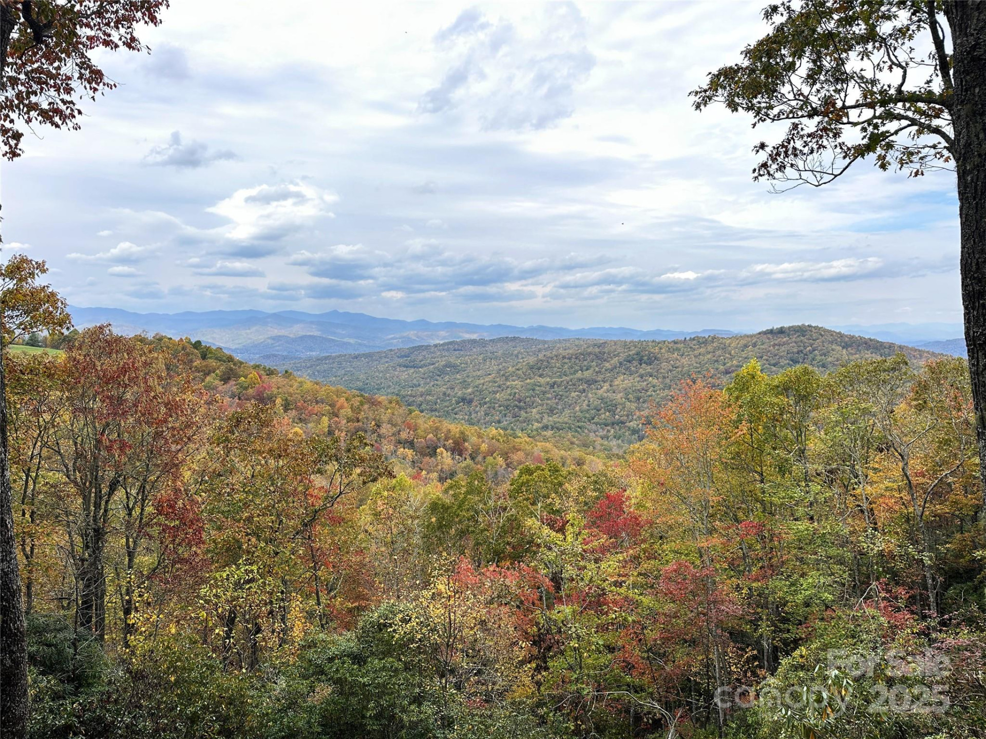 243 Ridgeline Drive - Photo 4