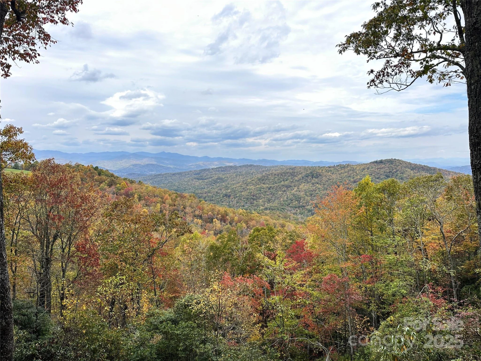 243 Ridgeline Drive - Photo 4