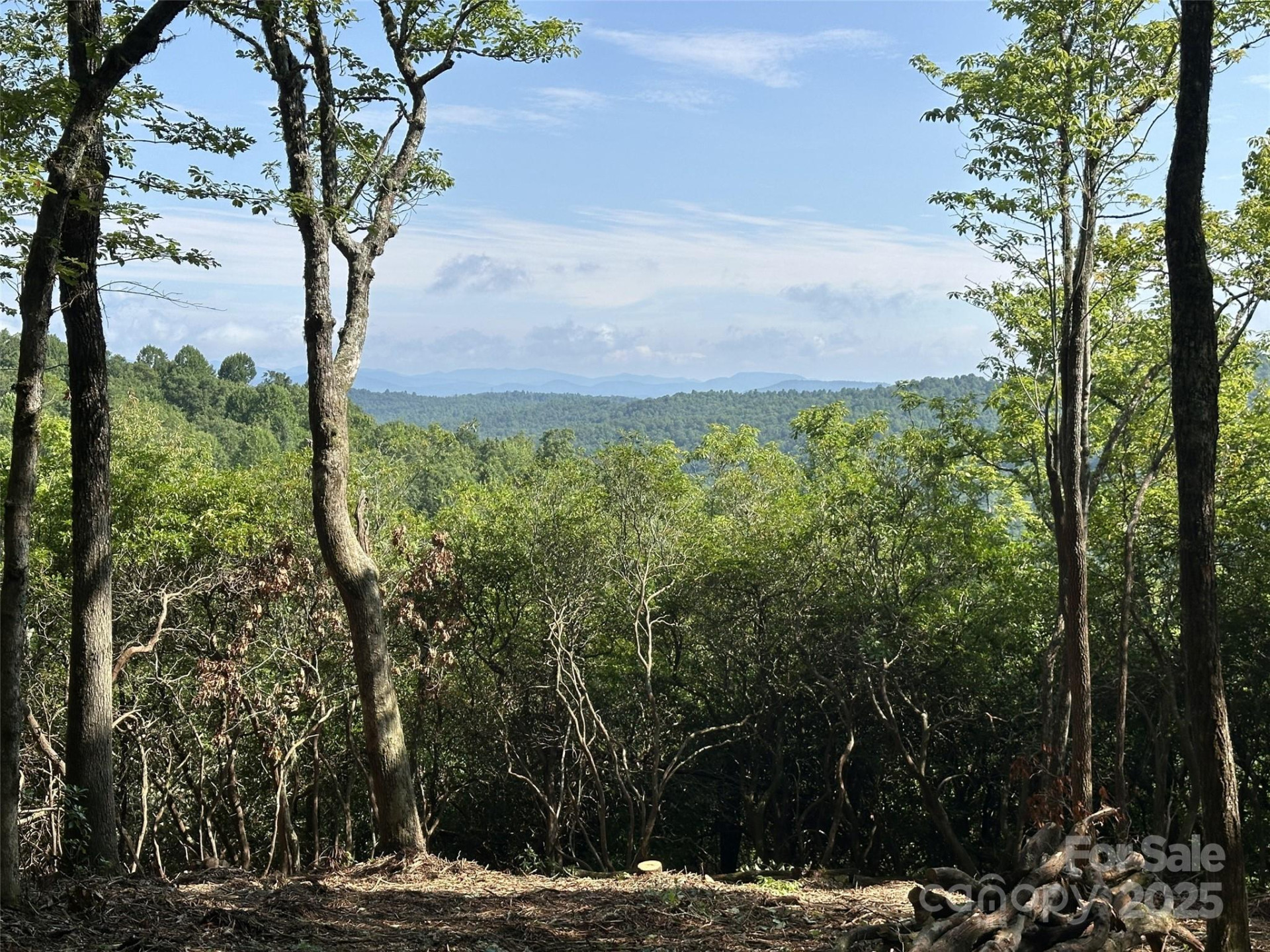 243 Ridgeline Drive - Photo 31