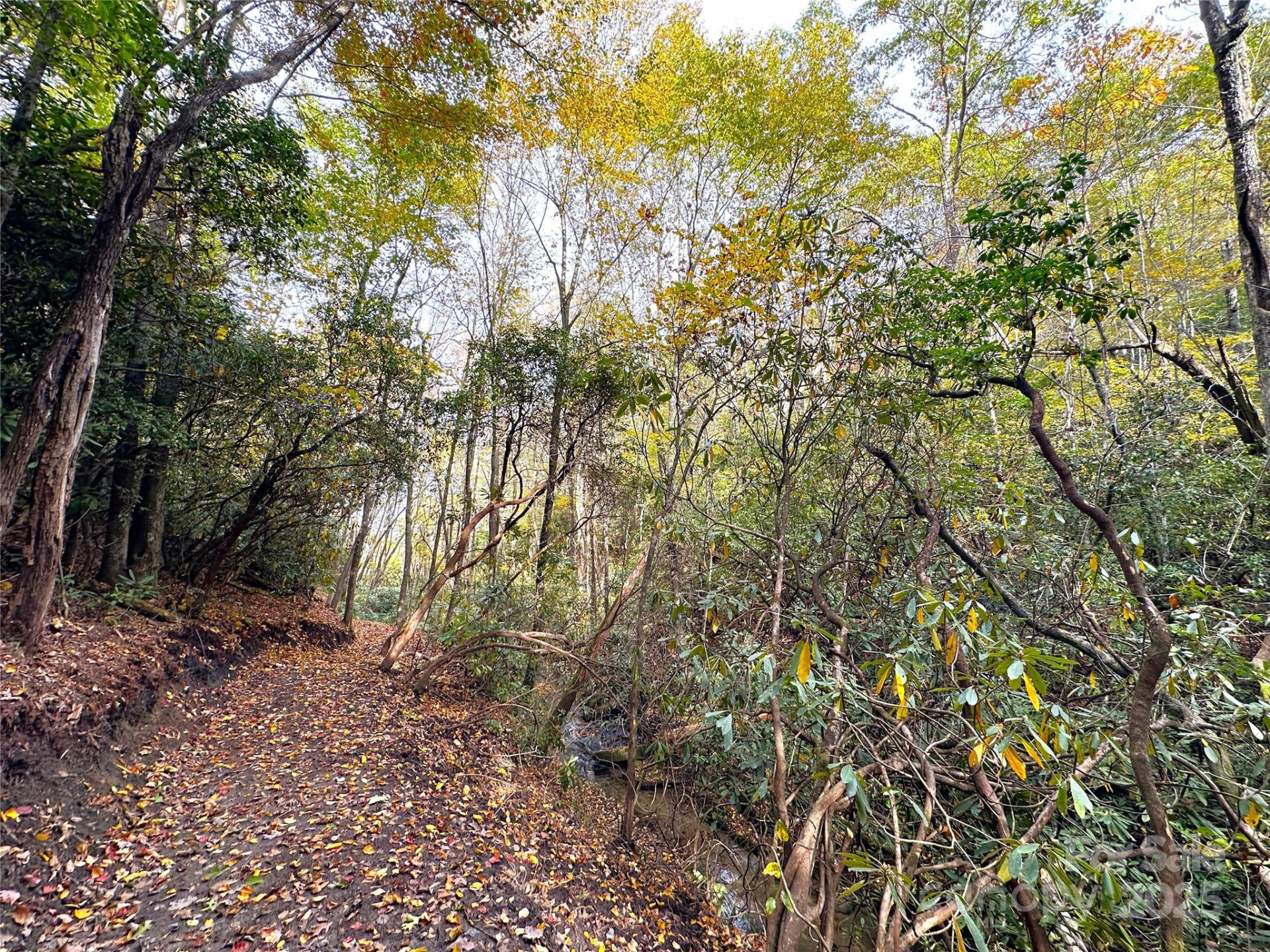 243 Ridgeline Drive - Photo 36