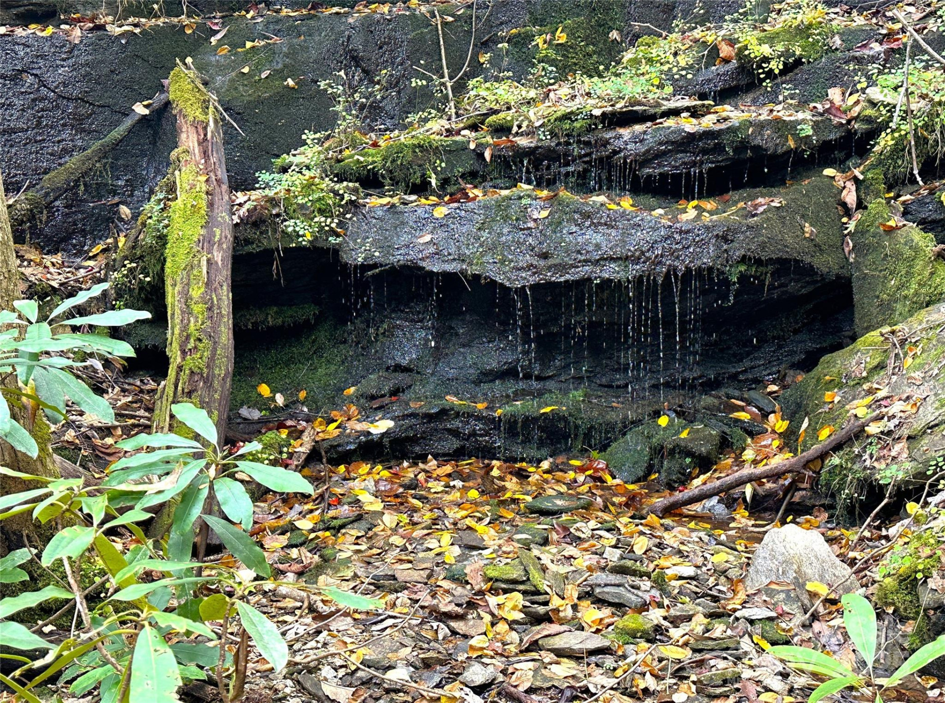 243 Ridgeline Drive - Photo 37