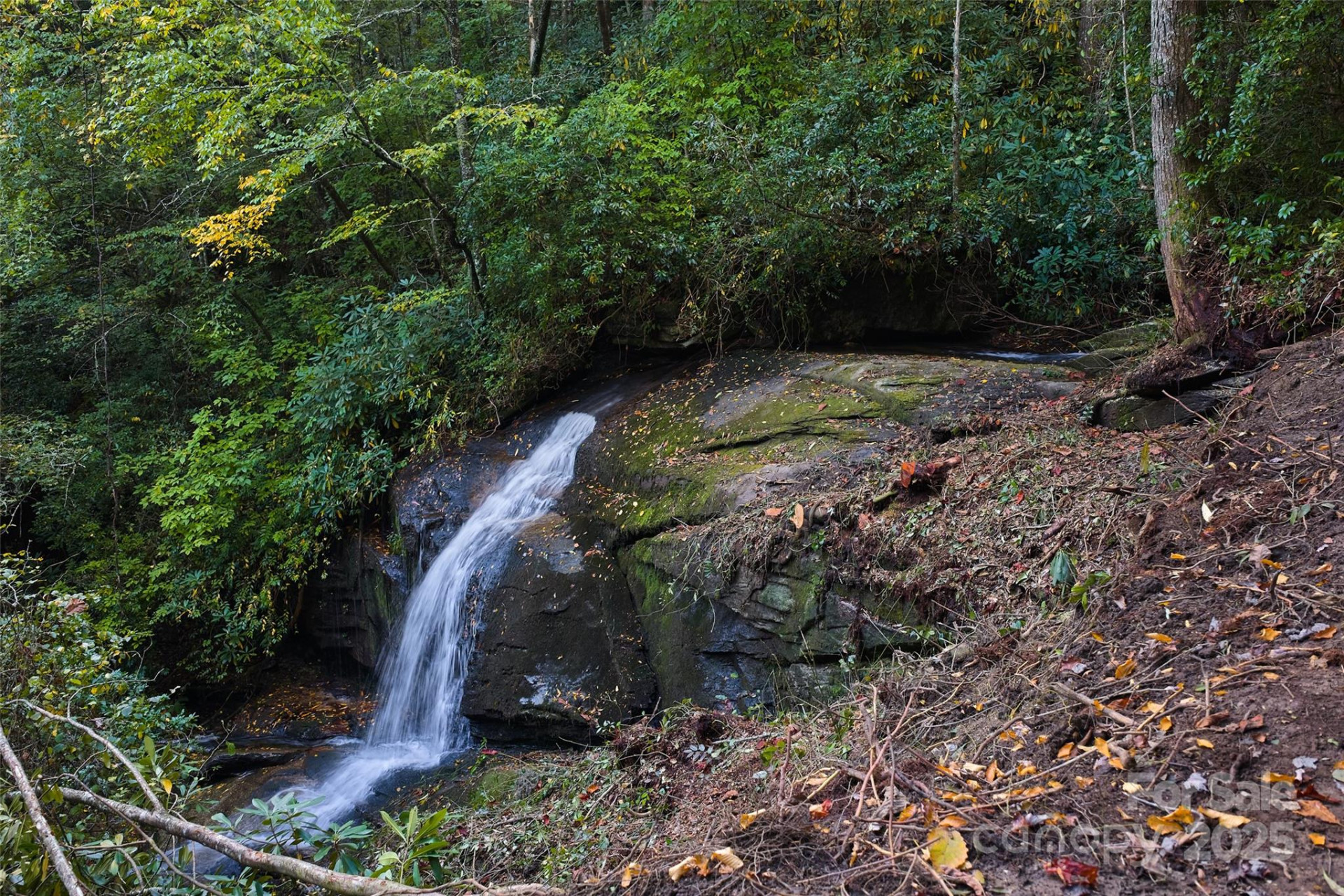 243 Ridgeline Drive - Photo 38