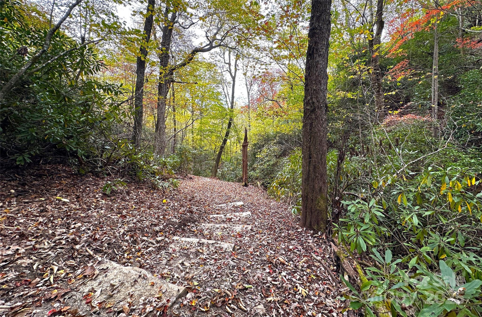 243 Ridgeline Drive - Photo 39