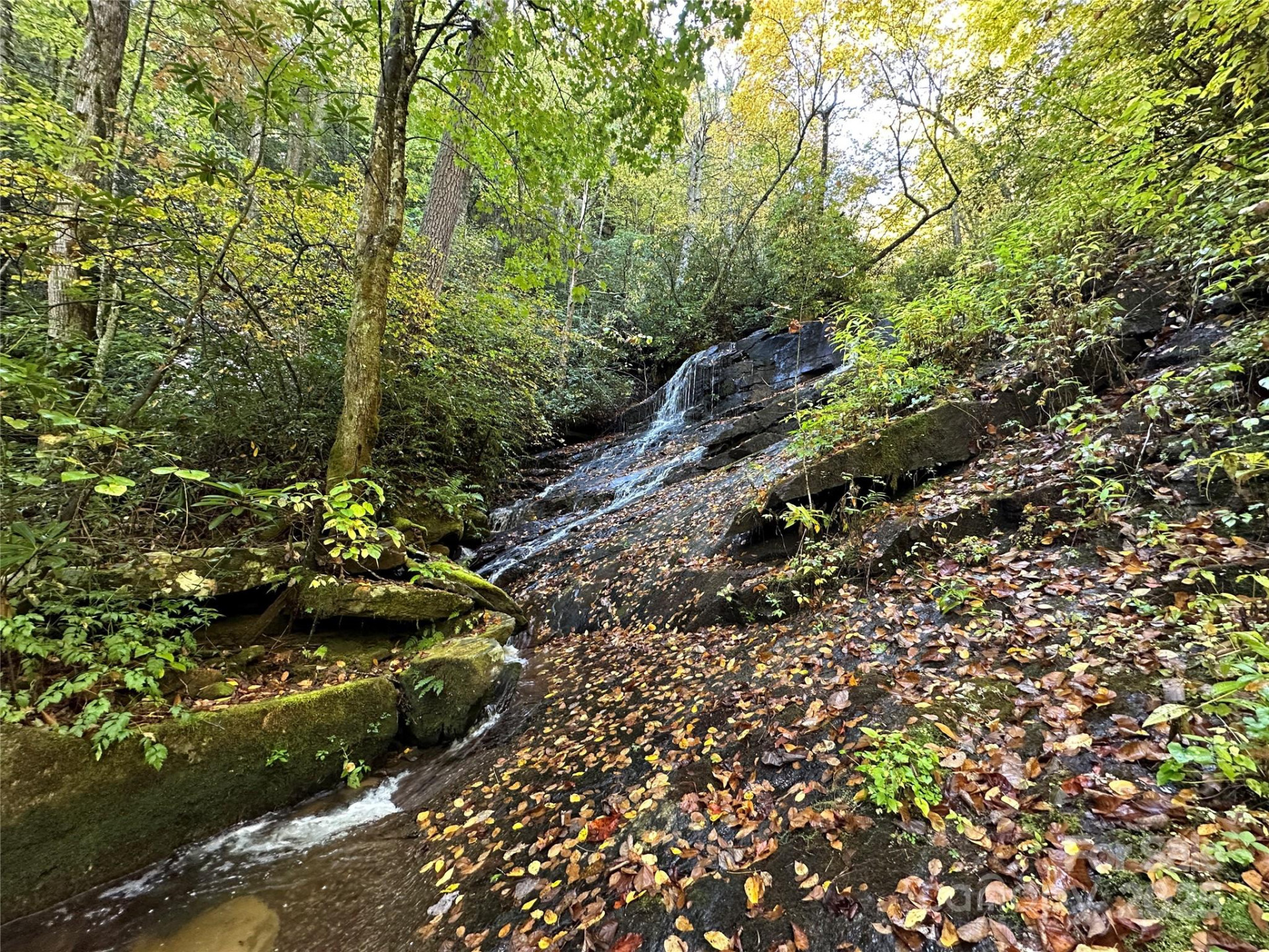 243 Ridgeline Drive - Photo 40