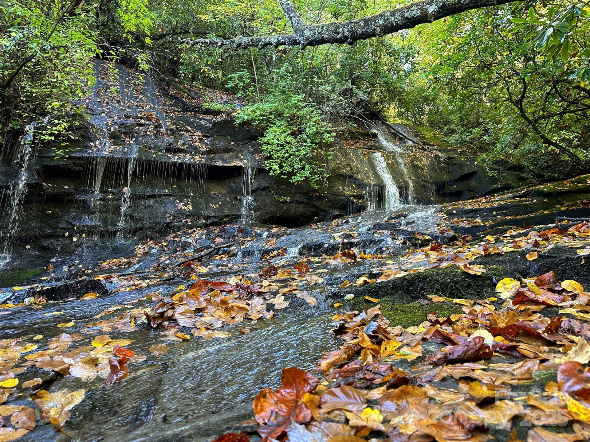 243 Ridgeline Drive - Photo 41