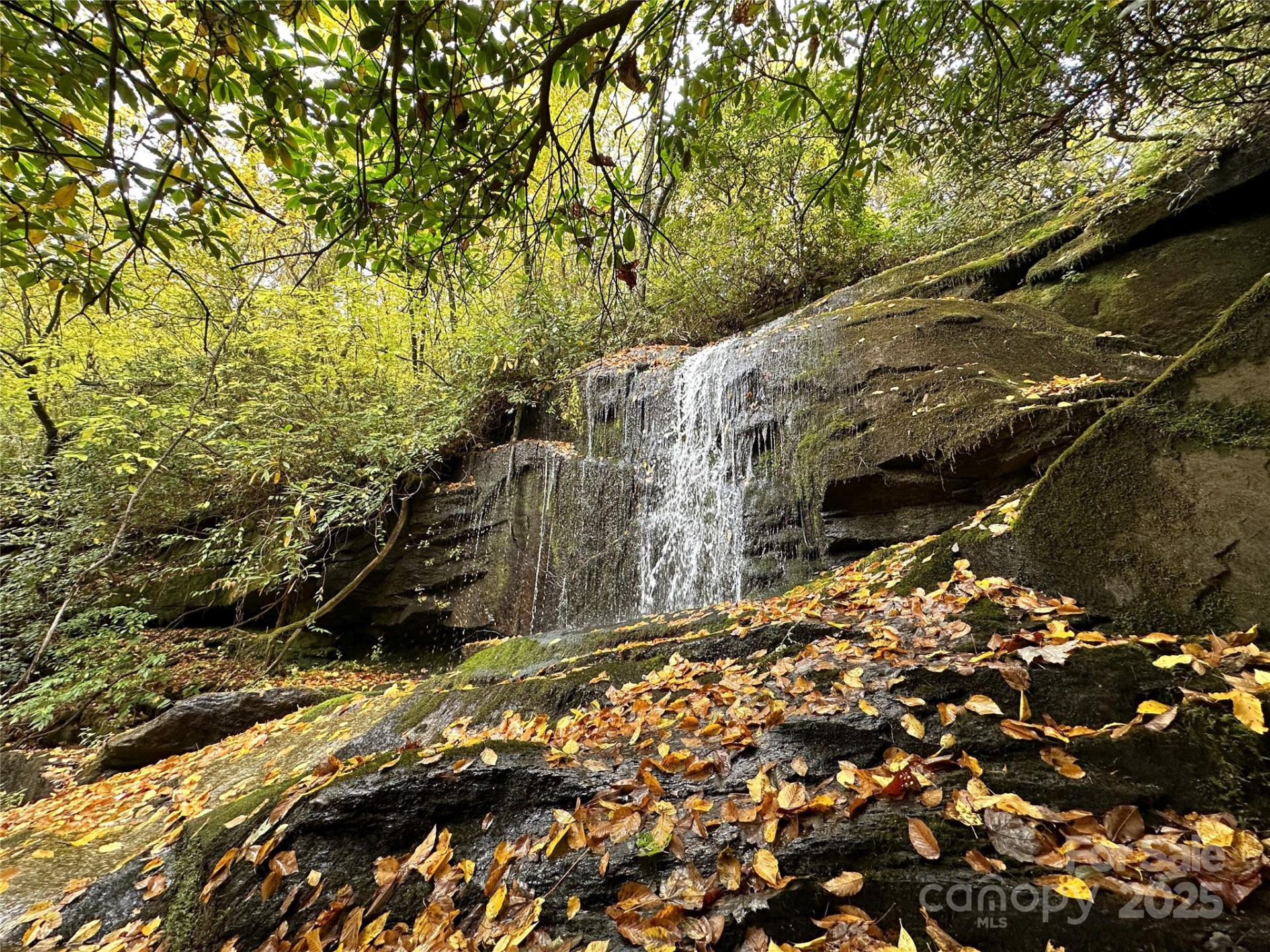 243 Ridgeline Drive - Photo 42