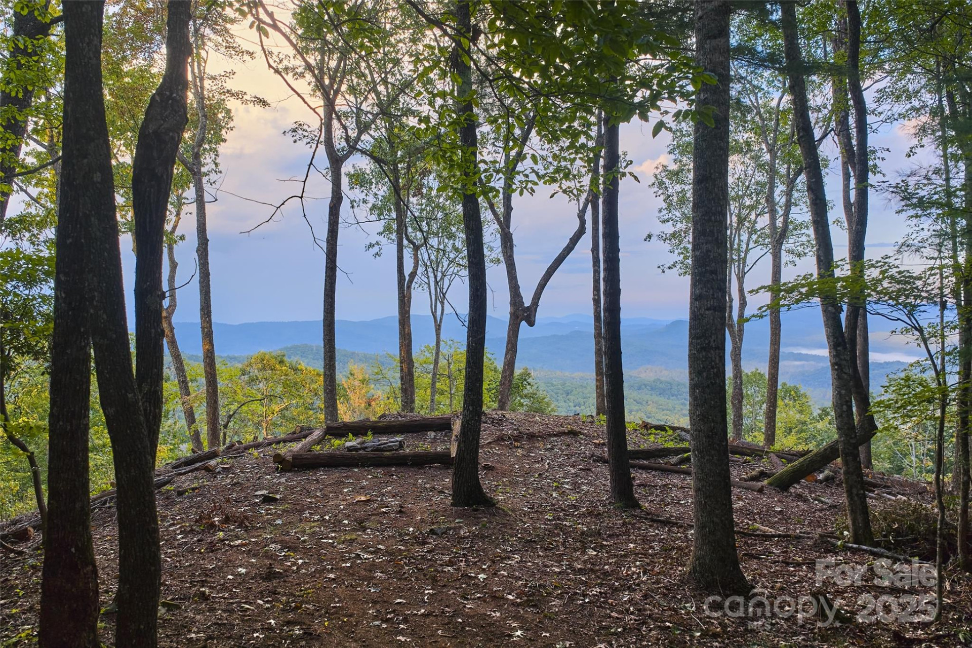 243 Ridgeline Drive - Photo 44