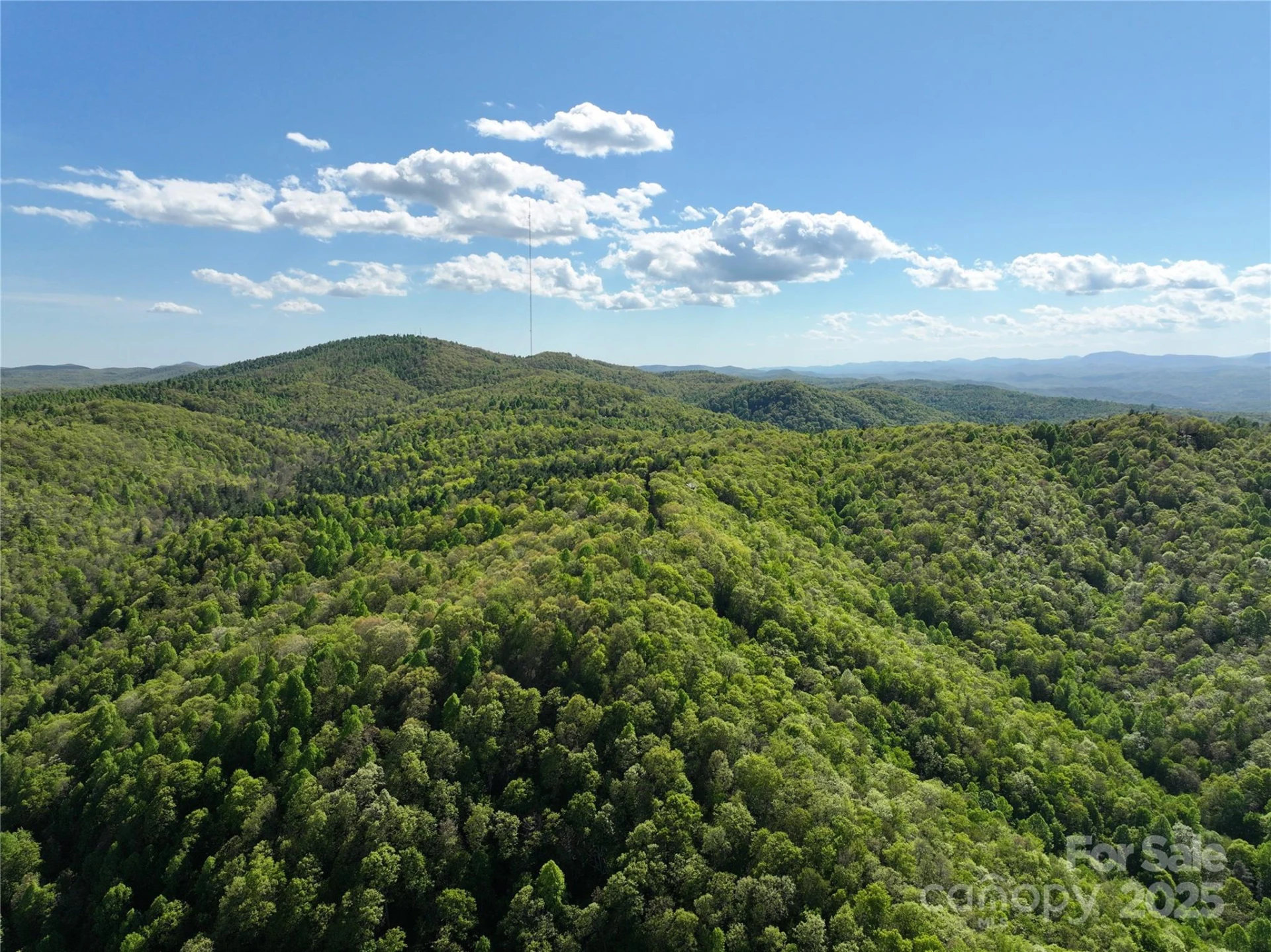 243 Ridgeline Drive - Photo 48
