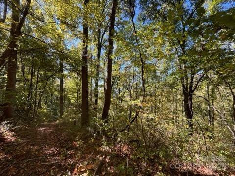 99999 Moody Cove Road - Photo 2