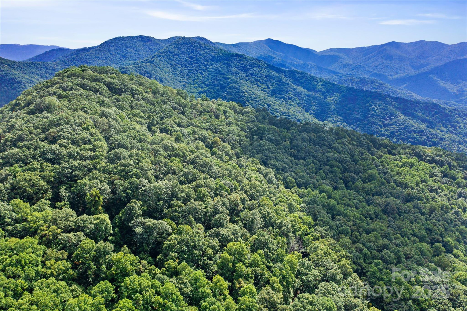 99999 Moody Cove Road - Photo 13