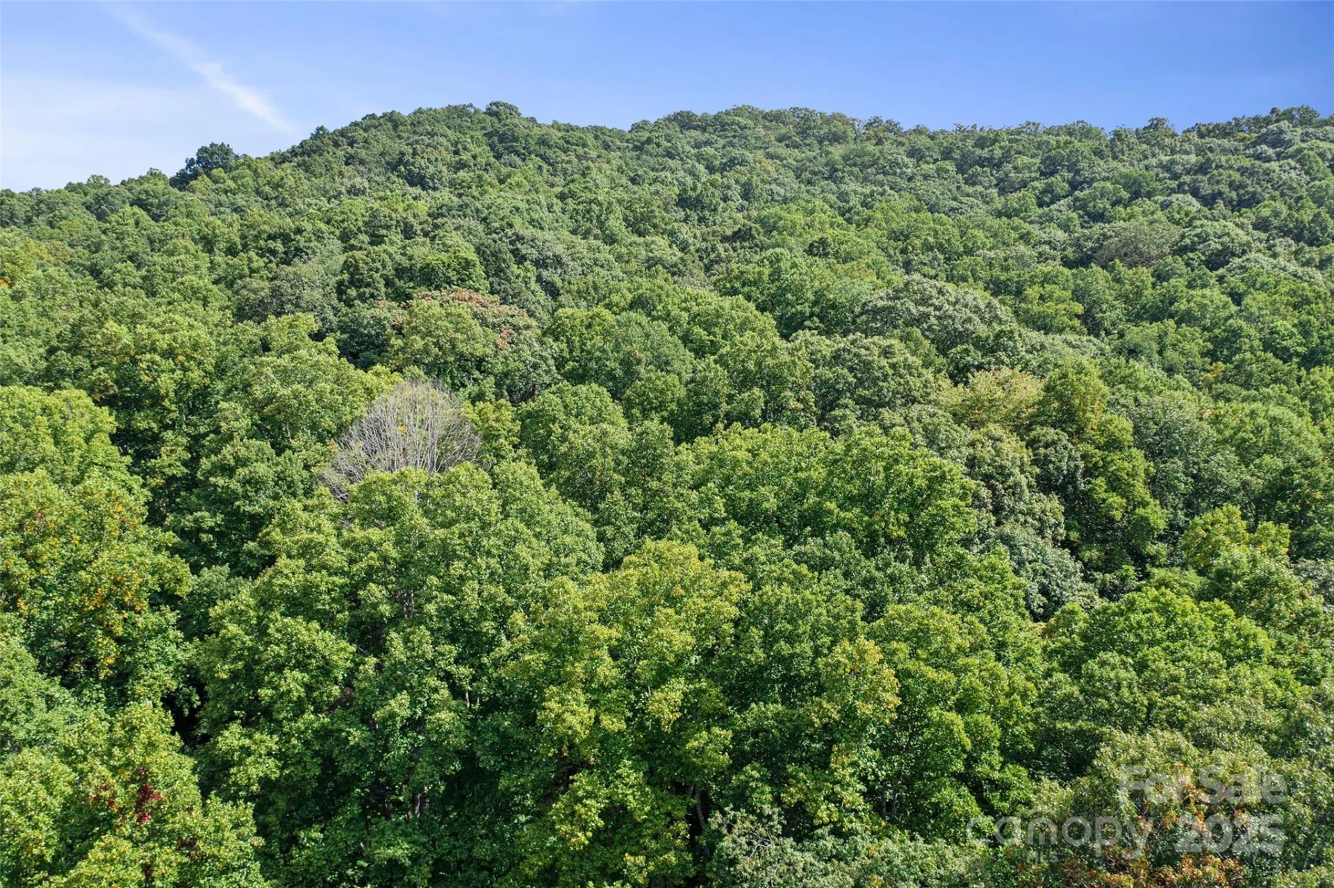 99999 Moody Cove Road - Photo 20