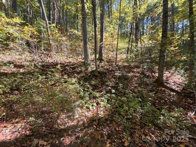 99999 Moody Cove Road - Photo 3