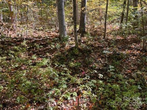 99999 Moody Cove Road - Photo 4