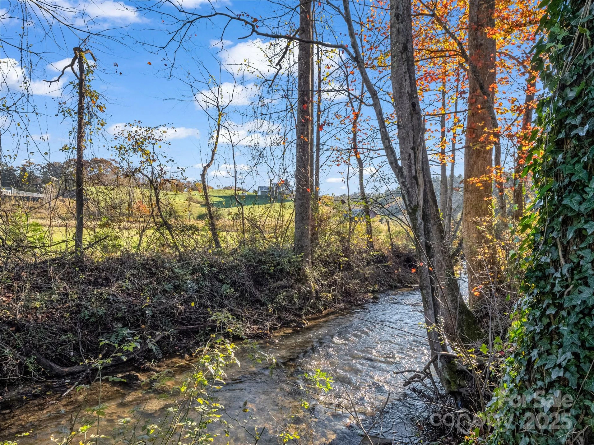 221 Turkey Pen Gap Road - Photo 17