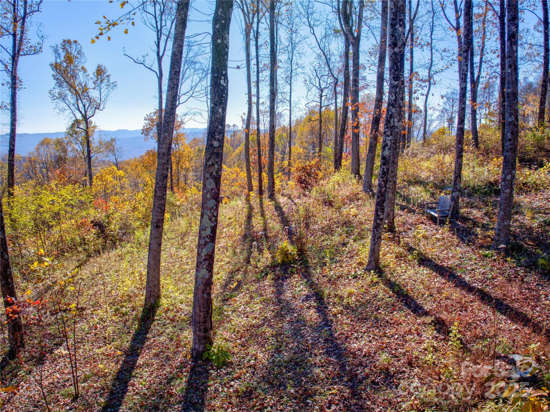 7 Laurel Ledge Way #13 - Photo 13