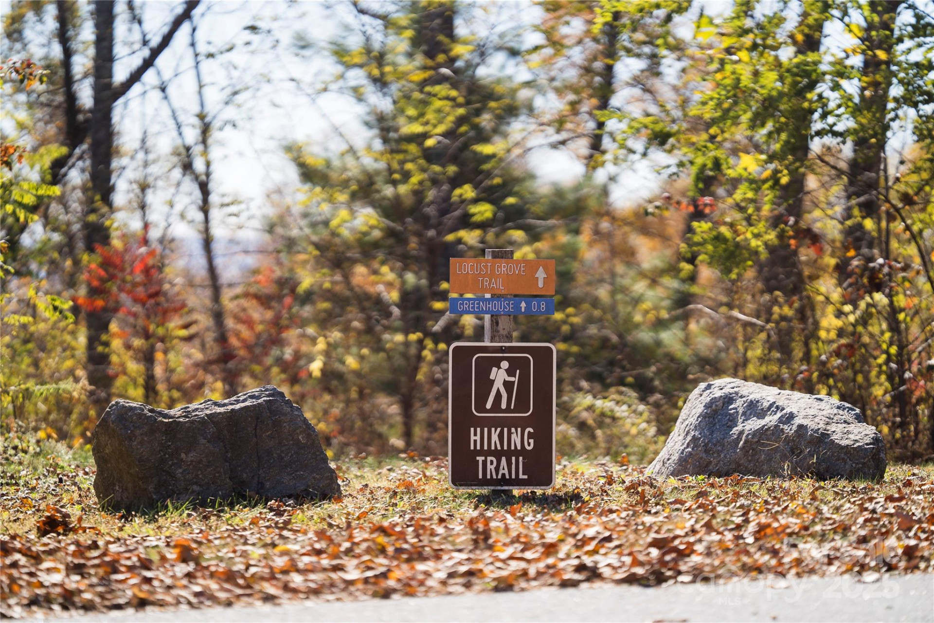 7 Laurel Ledge Way #13 - Photo 14