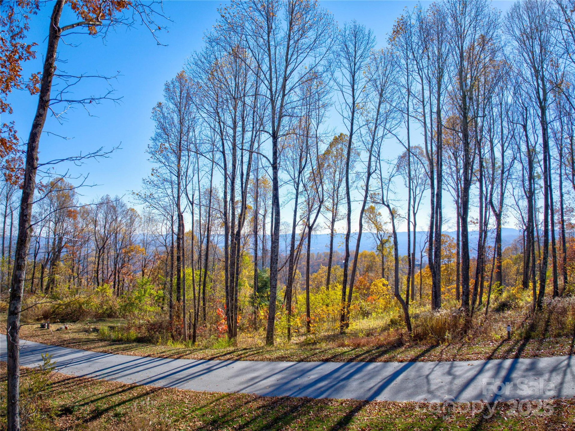 7 Laurel Ledge Way #13 - Photo 15