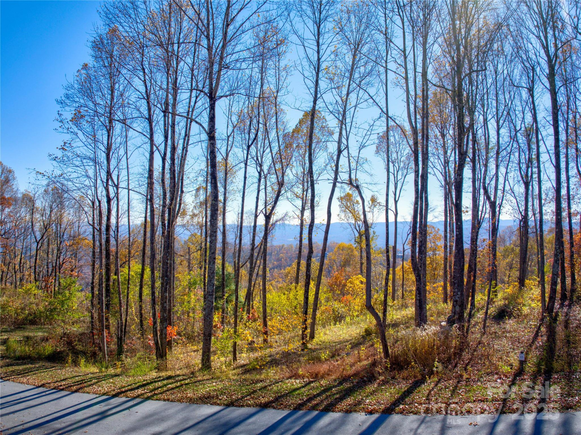 7 Laurel Ledge Way #13 - Photo 16