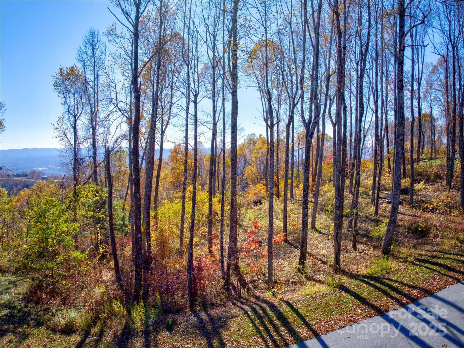7 Laurel Ledge Way #13 - Photo 17