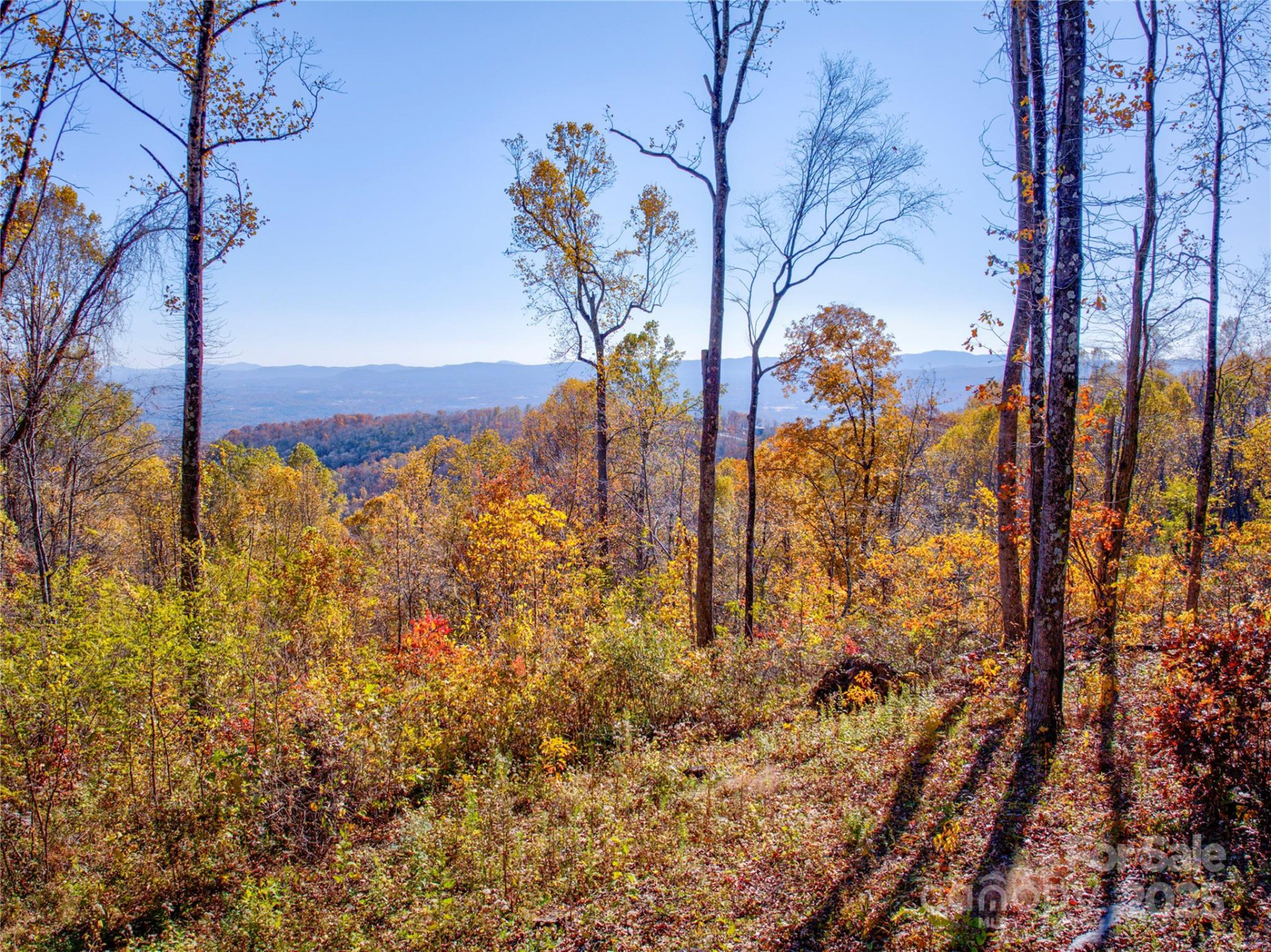 7 Laurel Ledge Way #13 - Photo 25