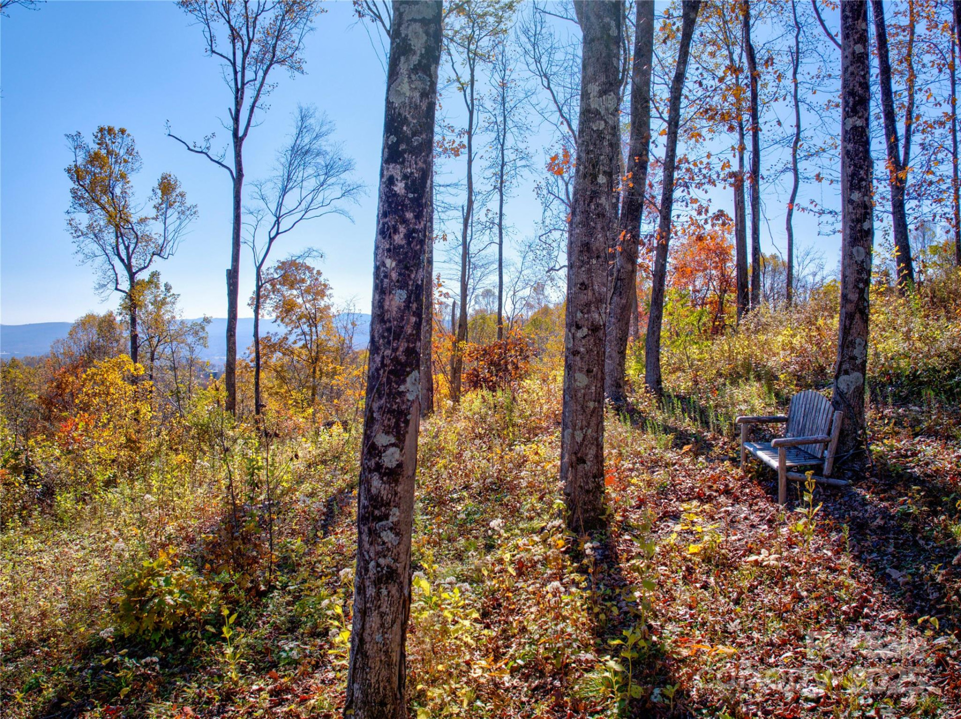 7 Laurel Ledge Way #13 - Photo 5