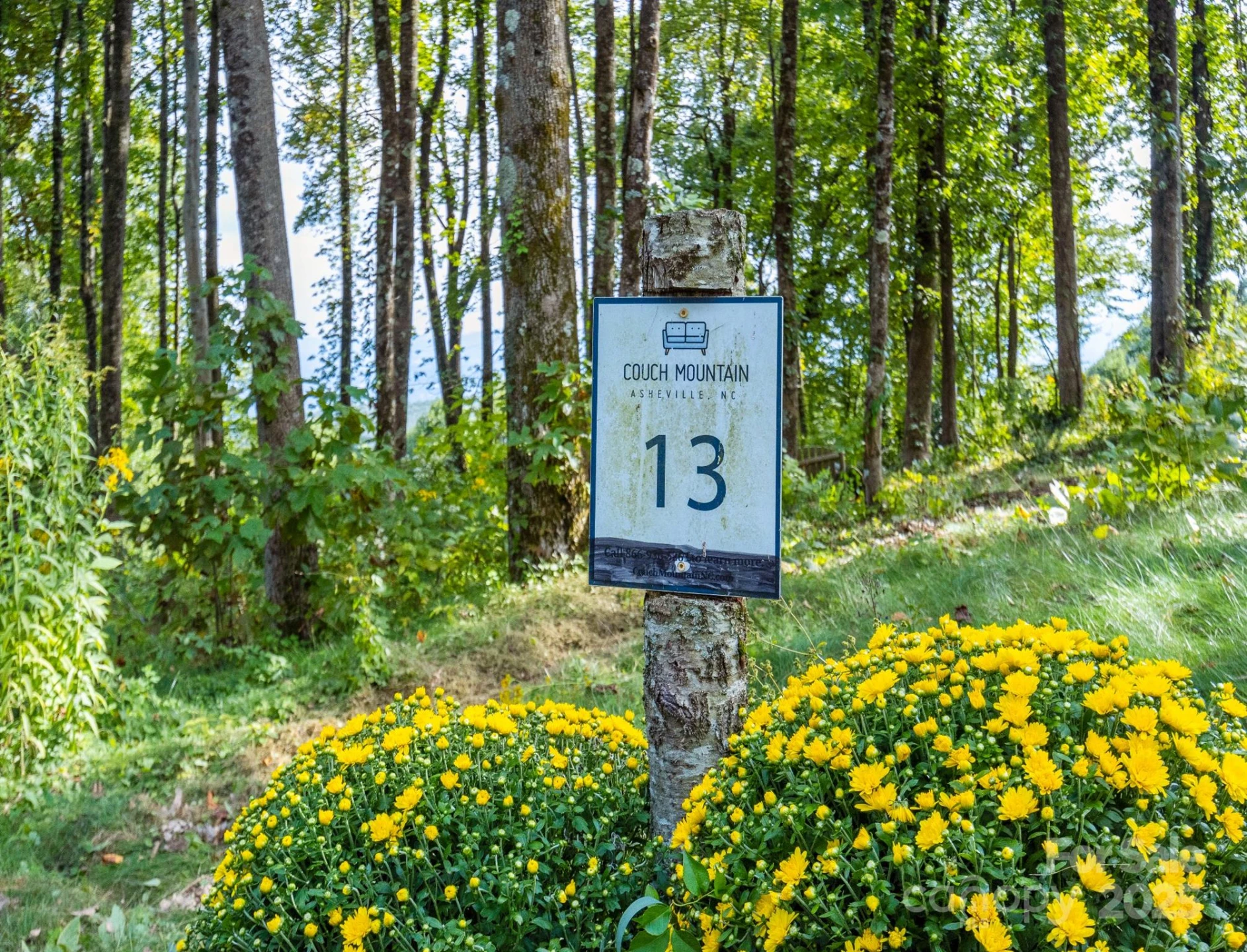 7 Laurel Ledge Way #13 - Photo 7