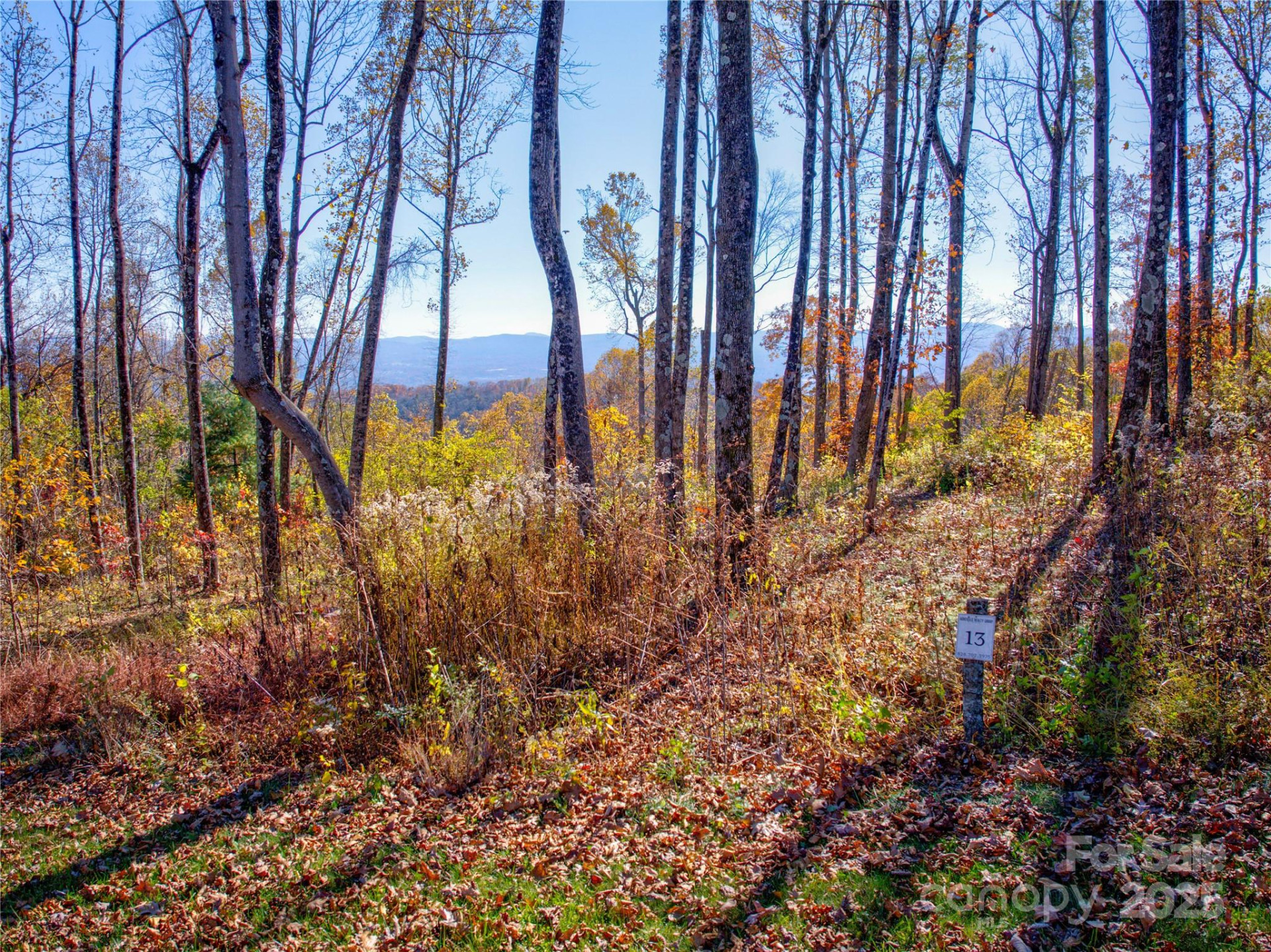 7 Laurel Ledge Way #13 - Photo 10