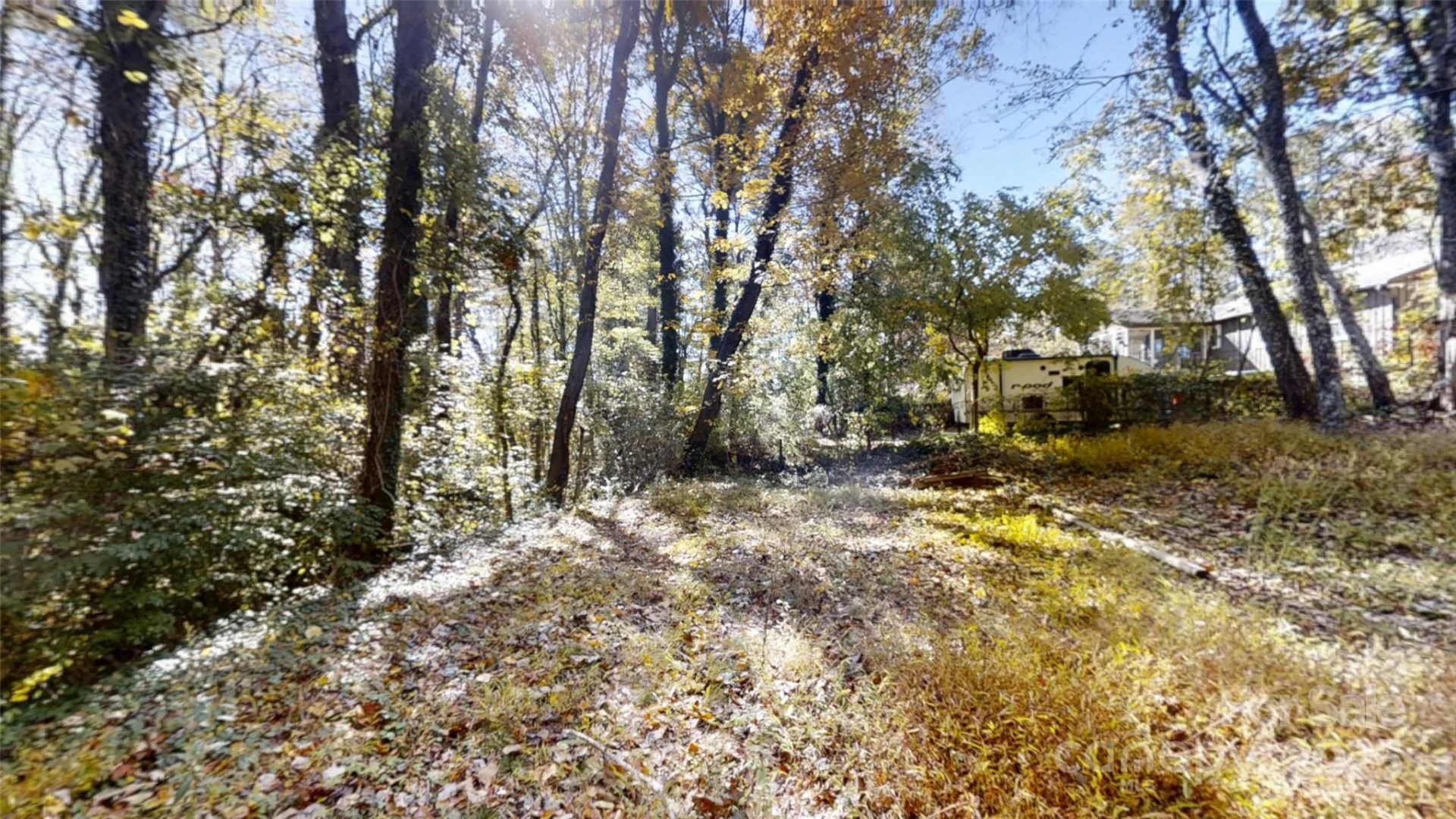111 Cisco Road - Photo 28