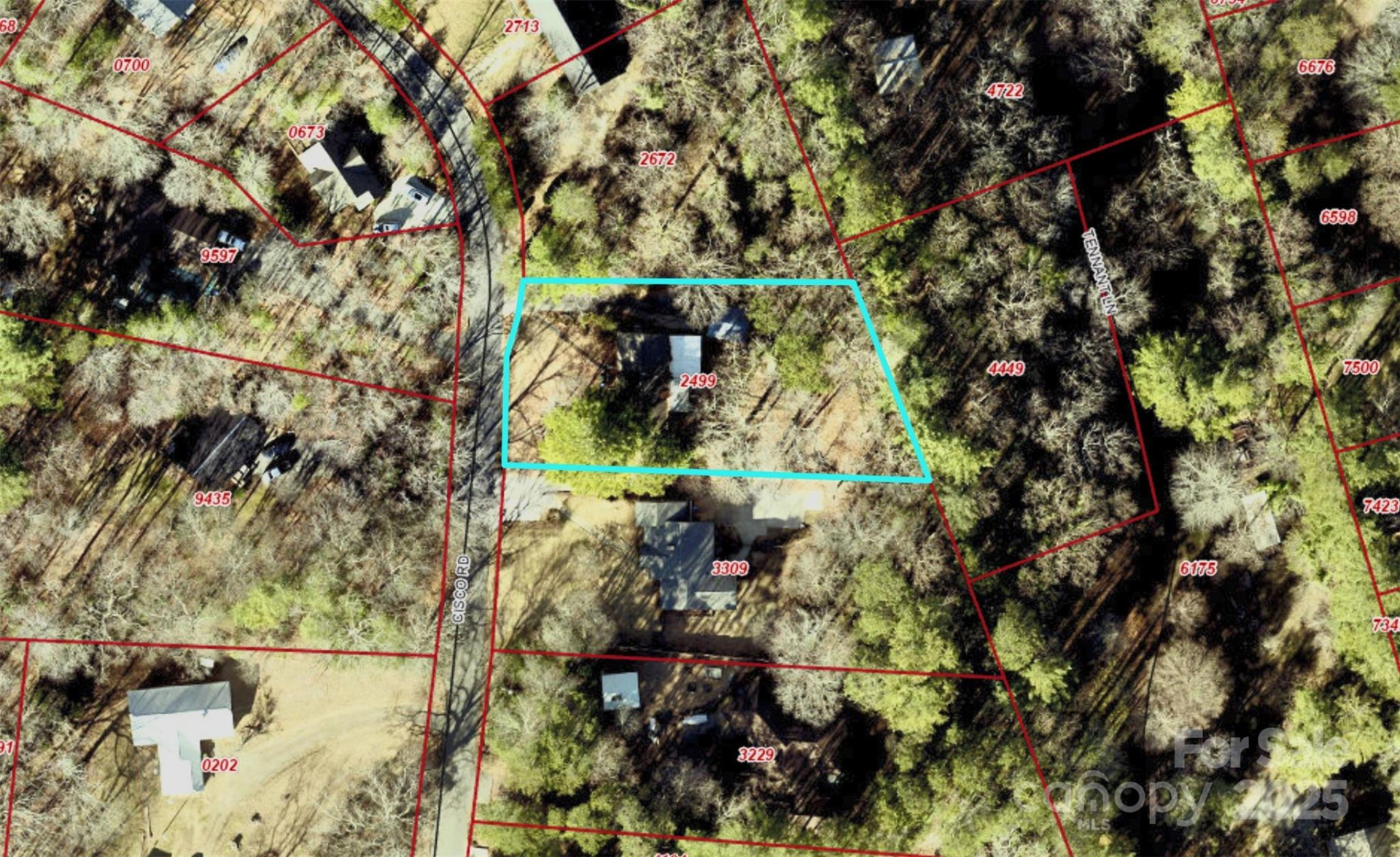 111 Cisco Road - Photo 29