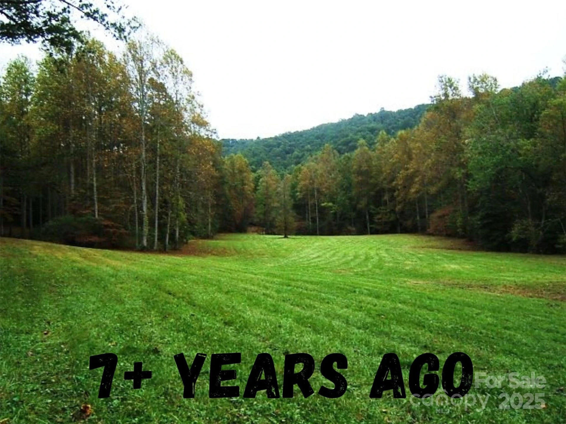 8361 Old Fort Sugar Hill Road - Photo 2