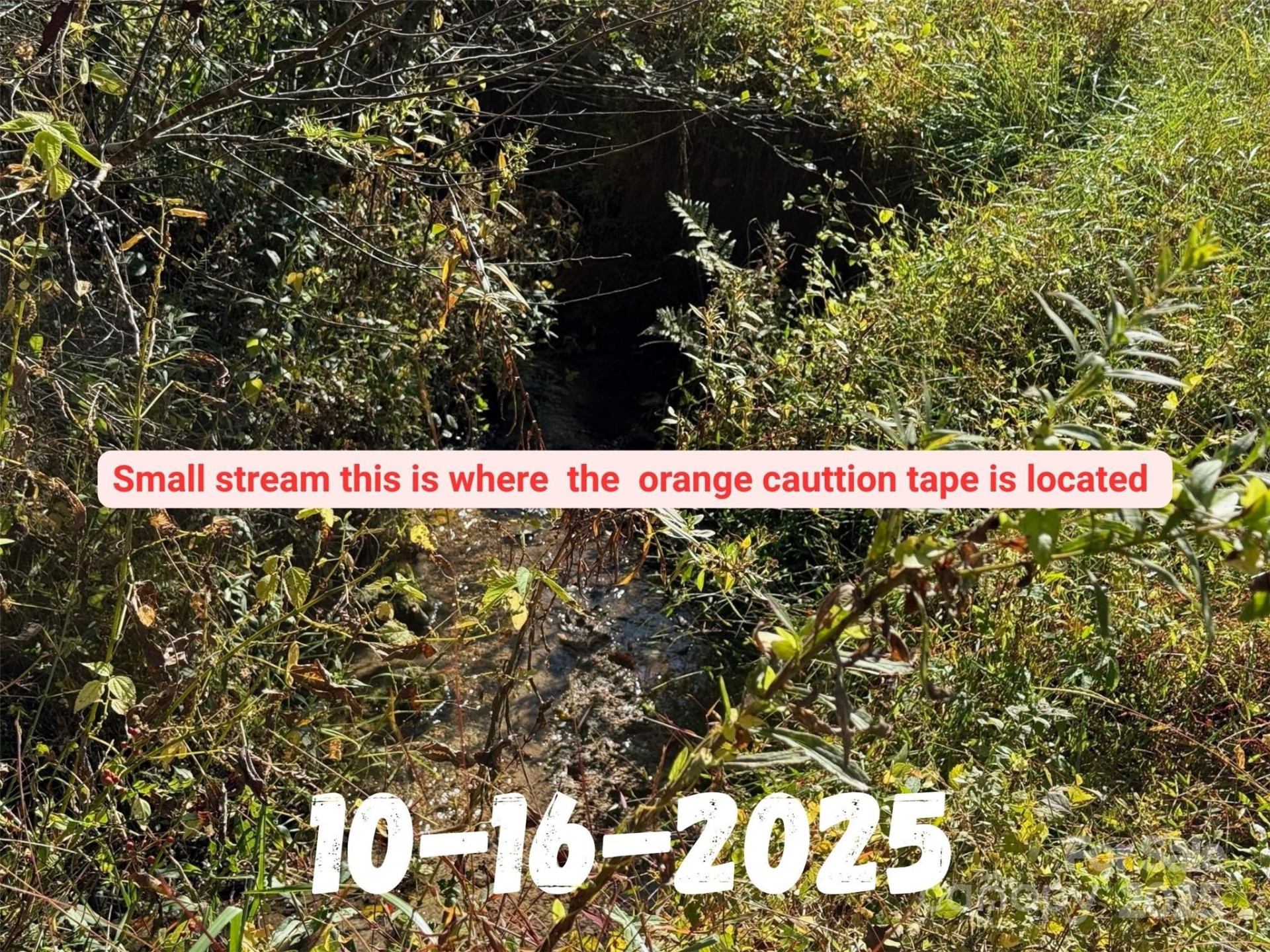 8361 Old Fort Sugar Hill Road - Photo 14