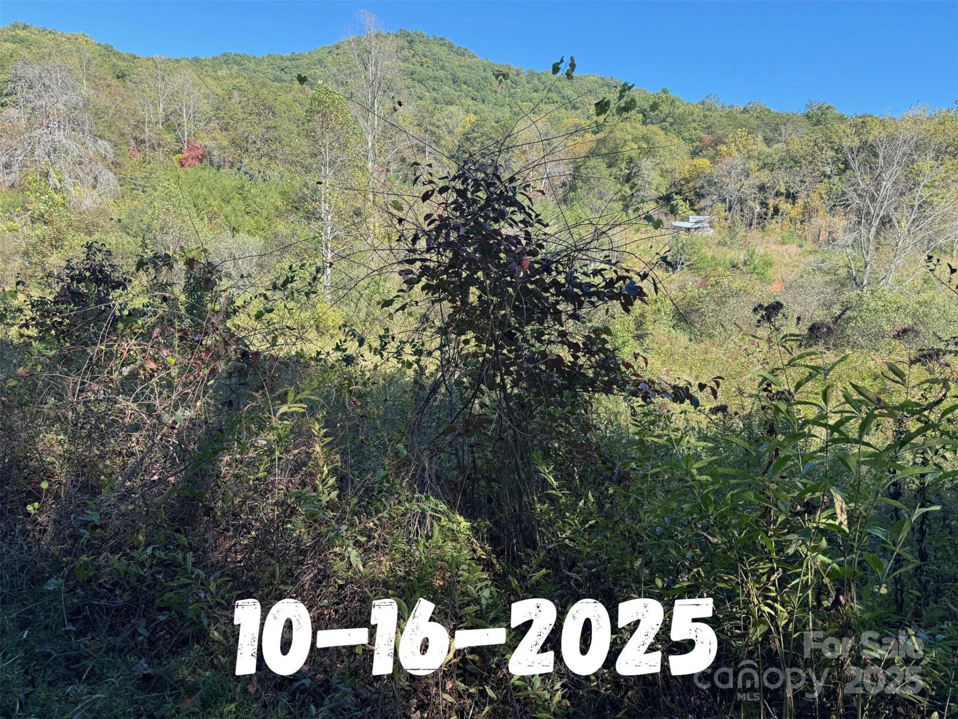 8361 Old Fort Sugar Hill Road - Photo 15