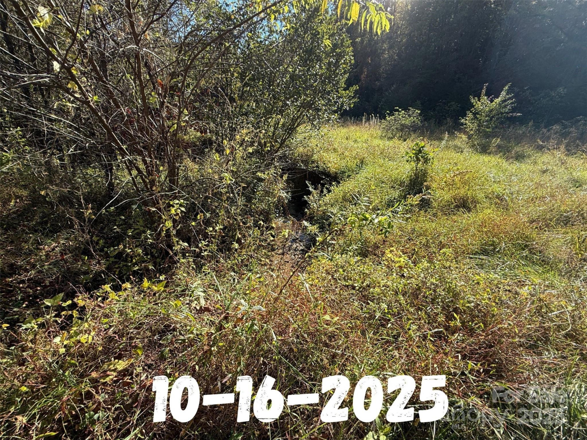 8361 Old Fort Sugar Hill Road - Photo 16