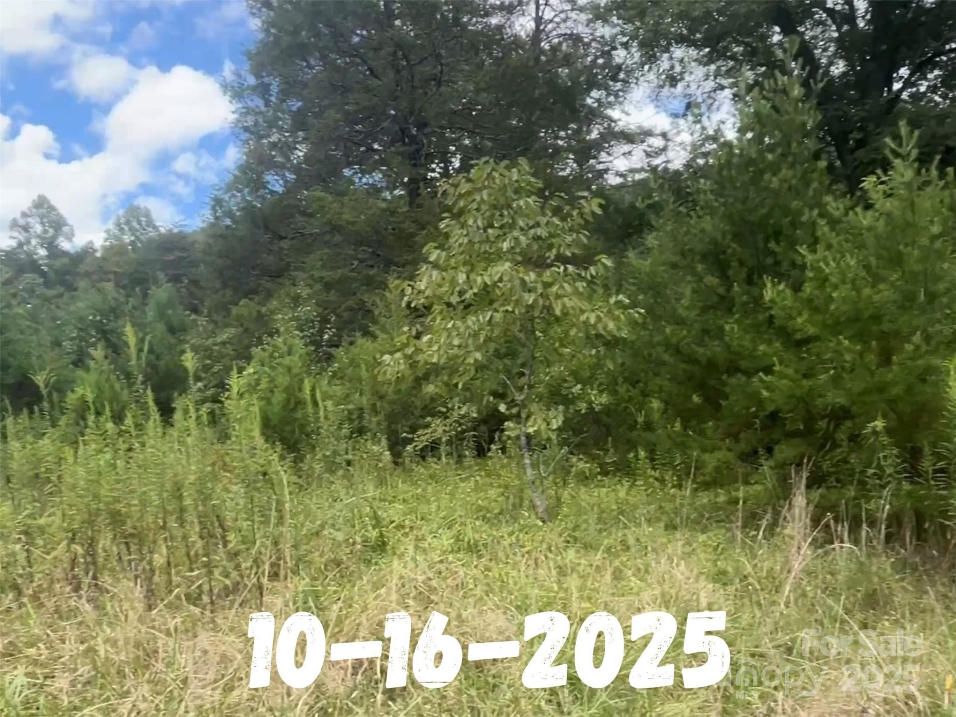 8361 Old Fort Sugar Hill Road - Photo 18