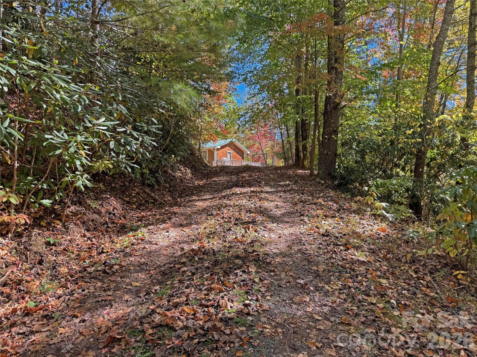 1622 Meadow Fork Road - Photo 29