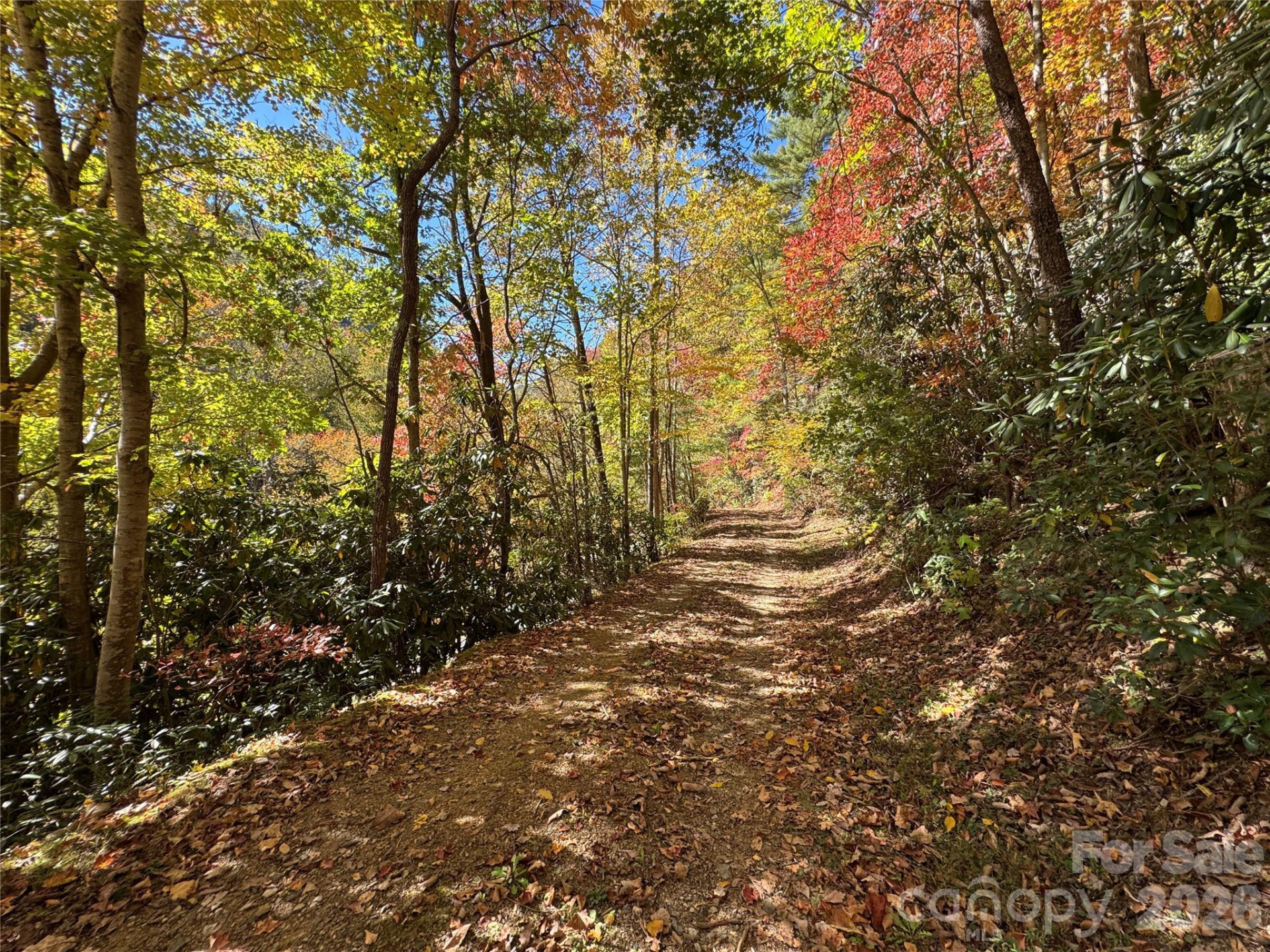 1622 Meadow Fork Road - Photo 31
